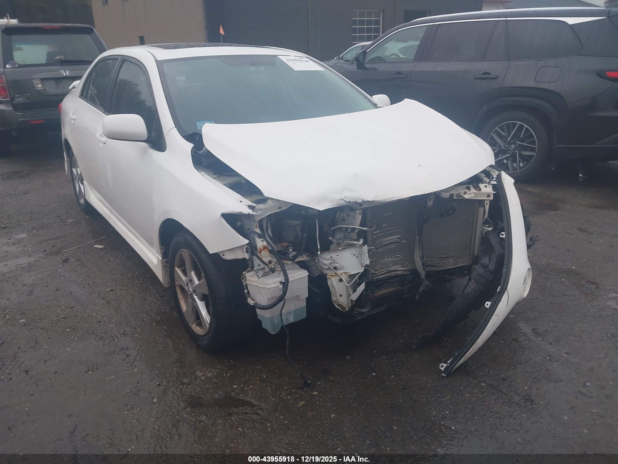 TOYOTA COROLLA image 6