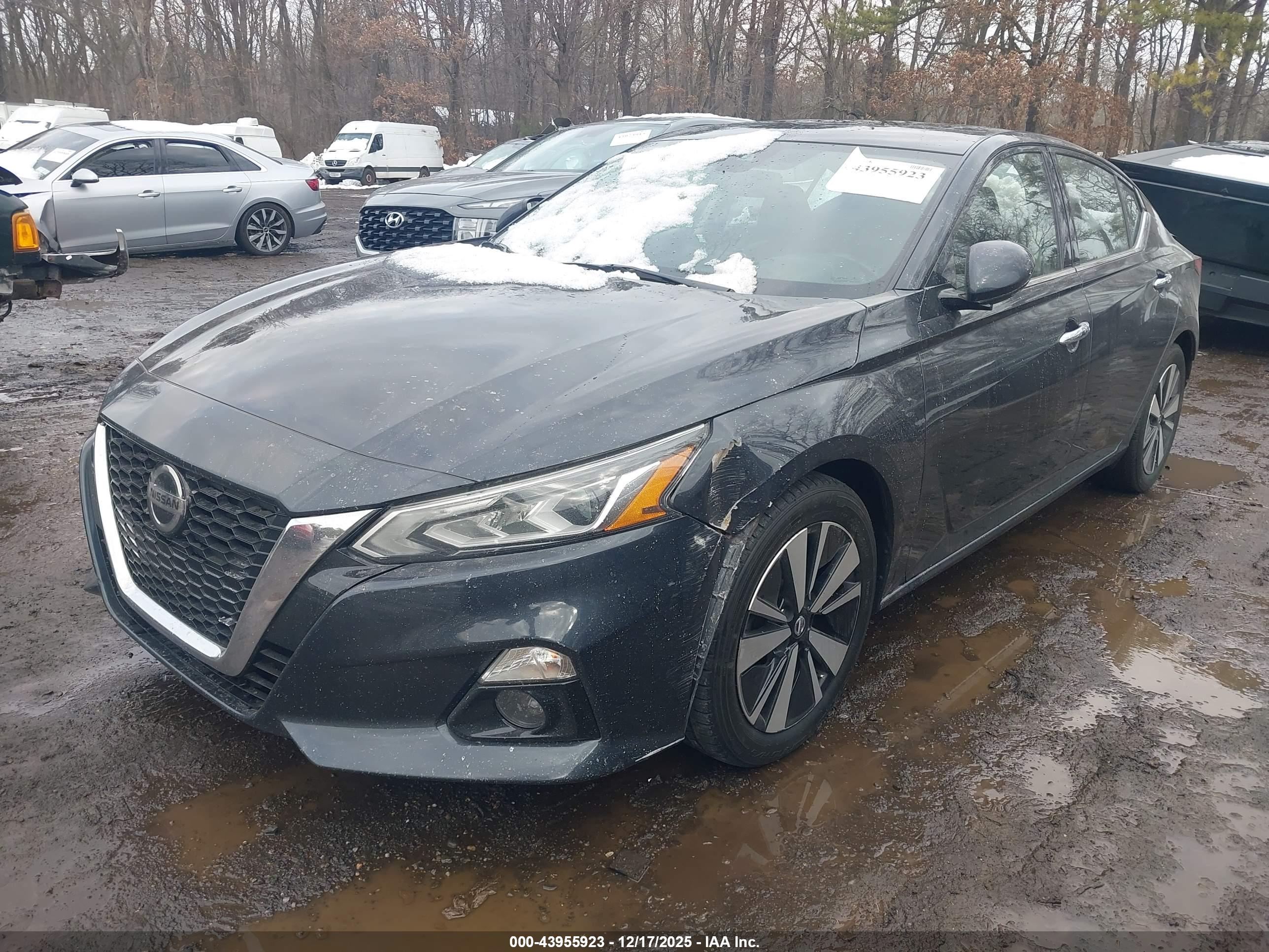 NISSAN ALTIMA image 2