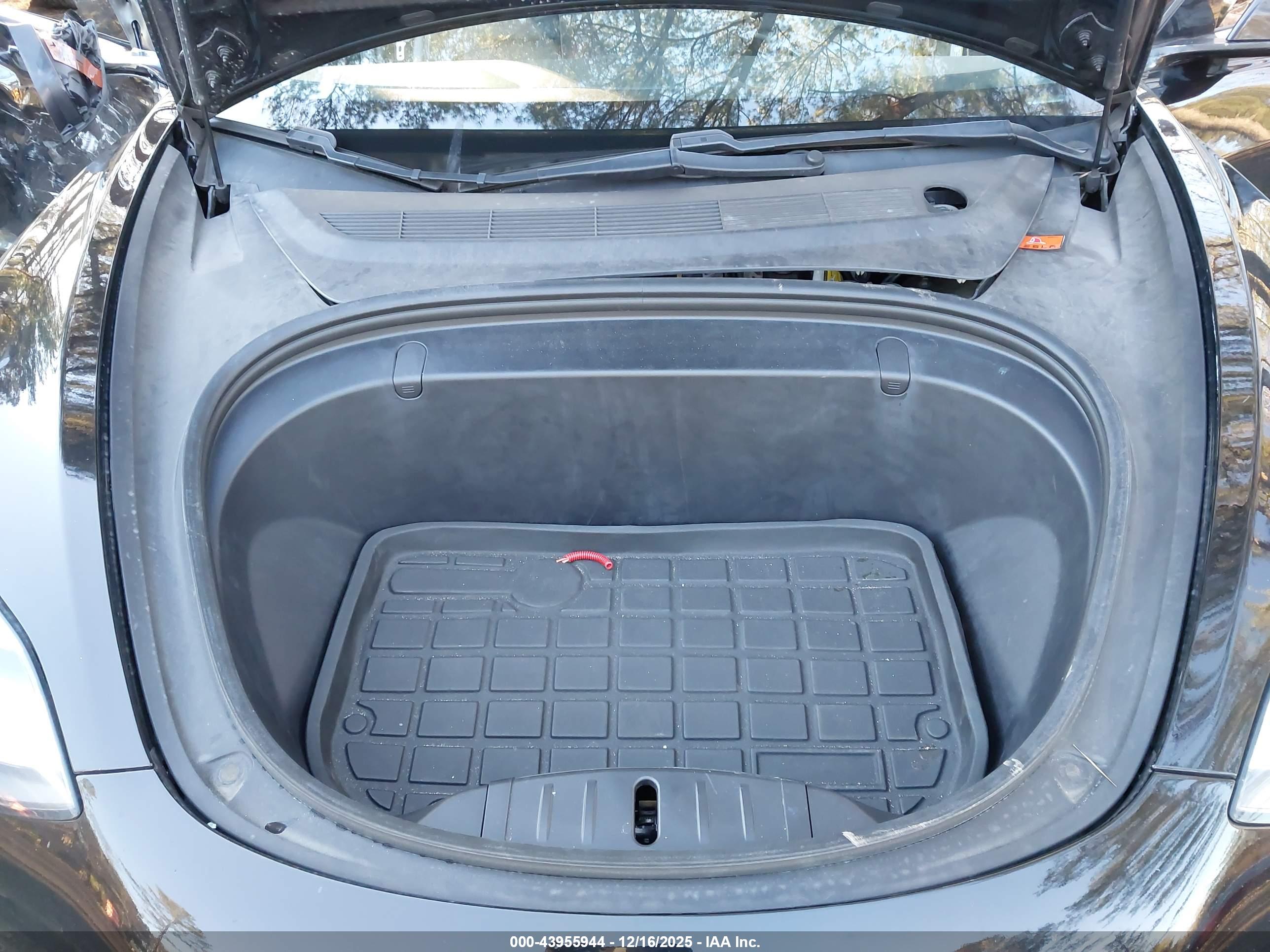 TESLA MODEL image 10