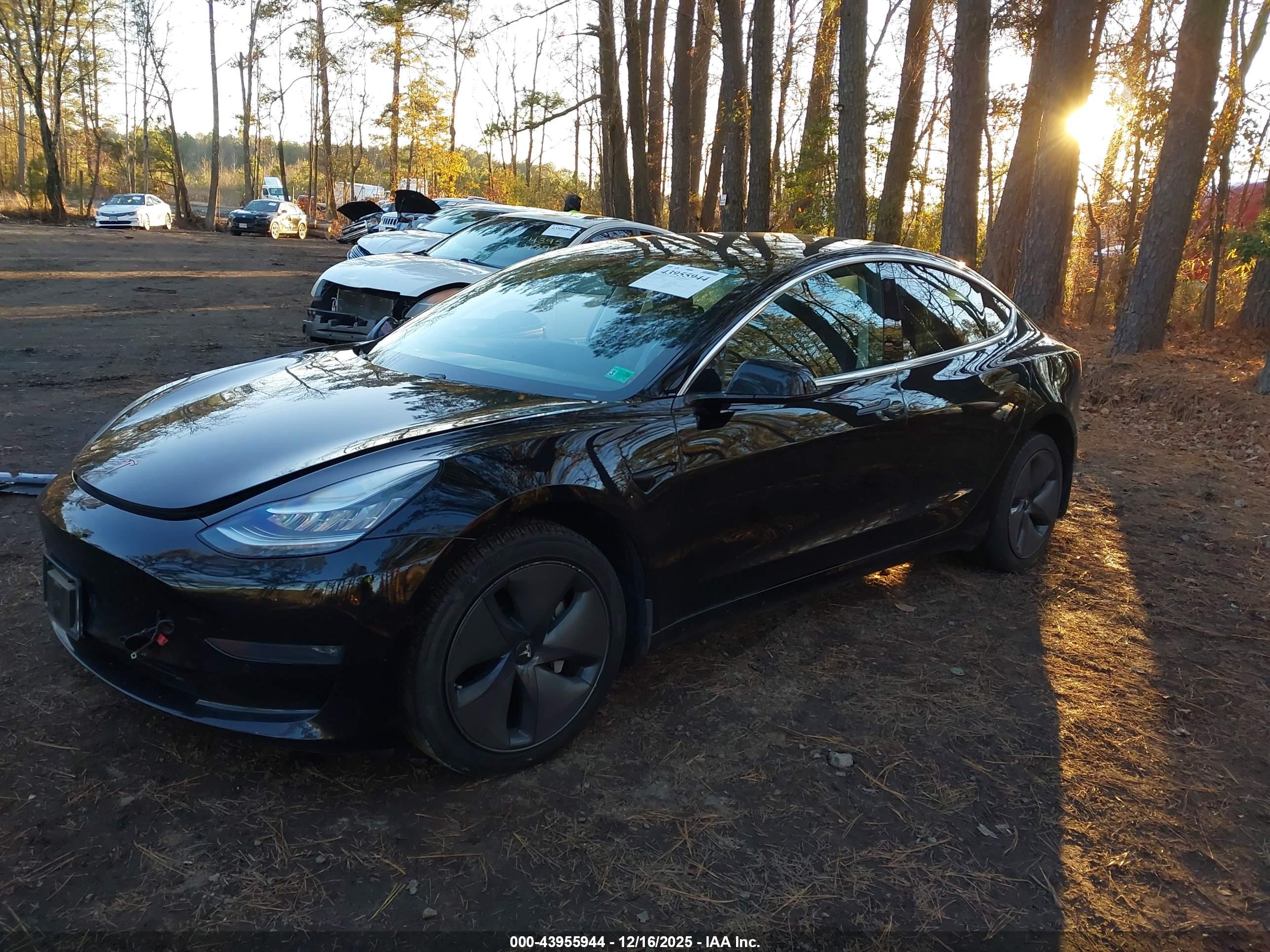 TESLA MODEL image 2