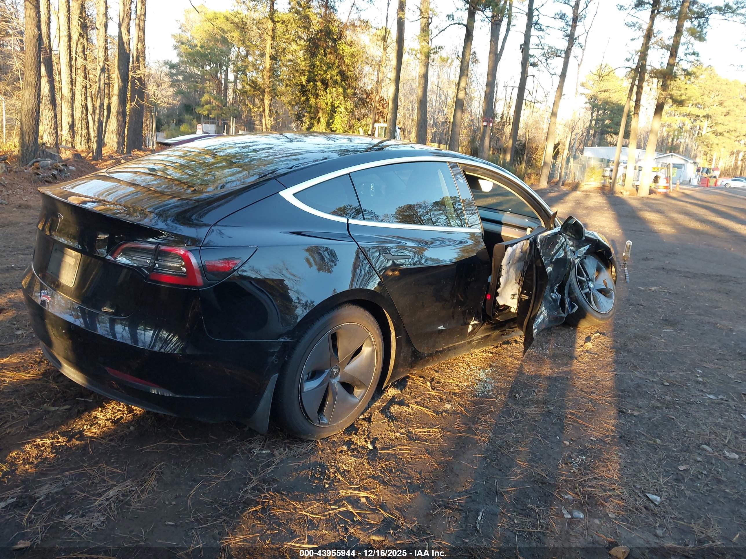 TESLA MODEL image 4