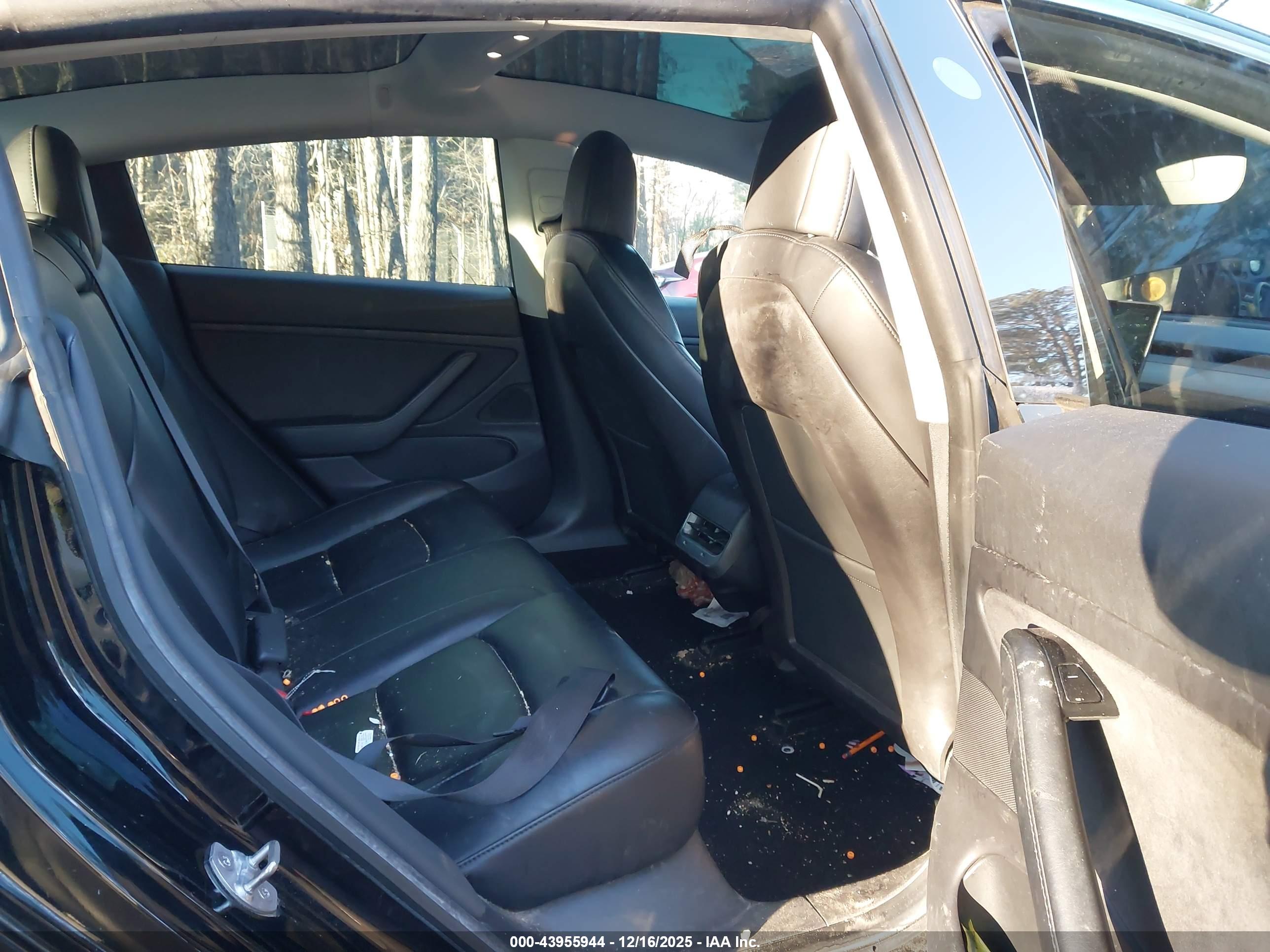 TESLA MODEL image 8