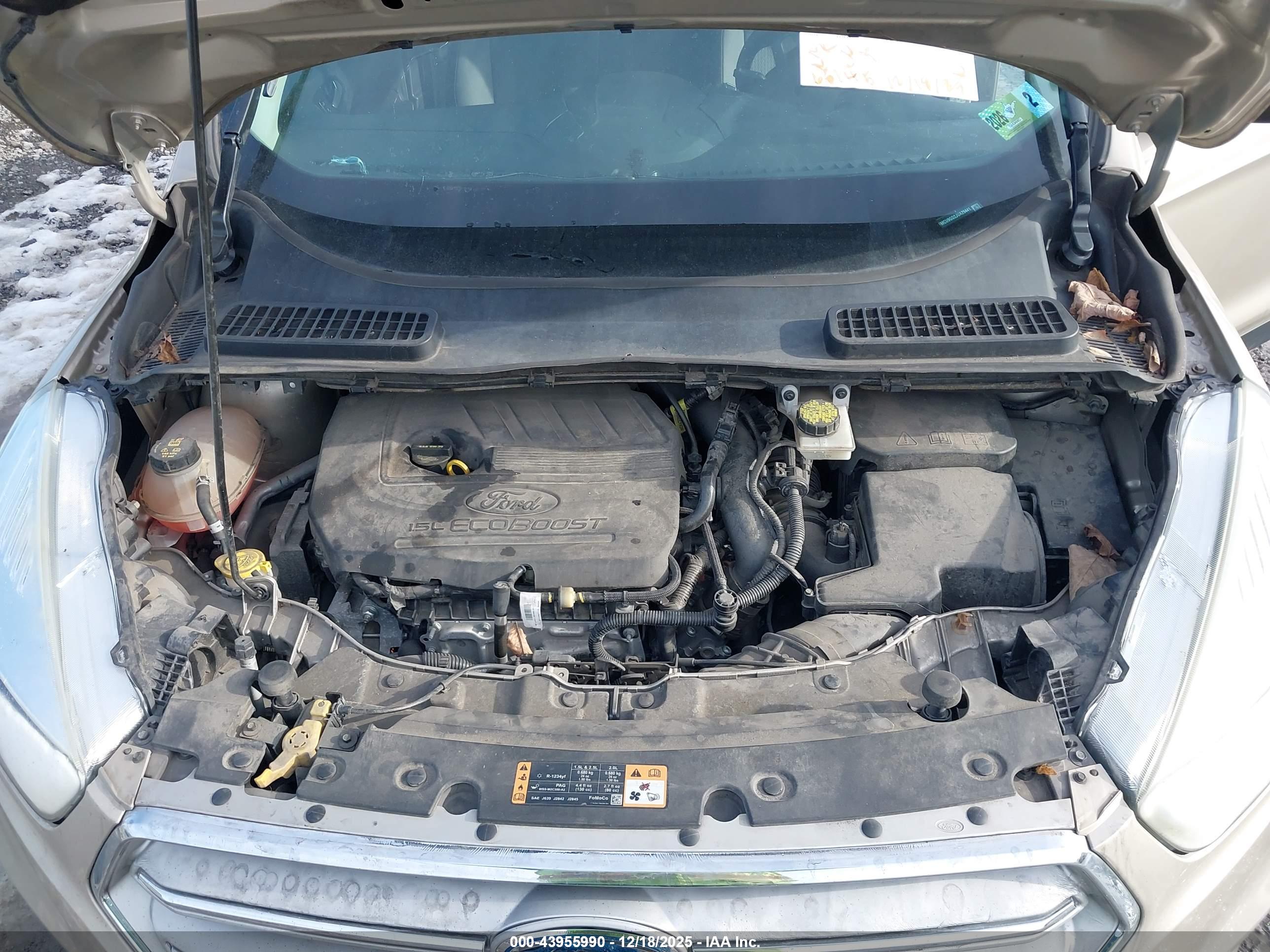 FORD ESCAPE image 10
