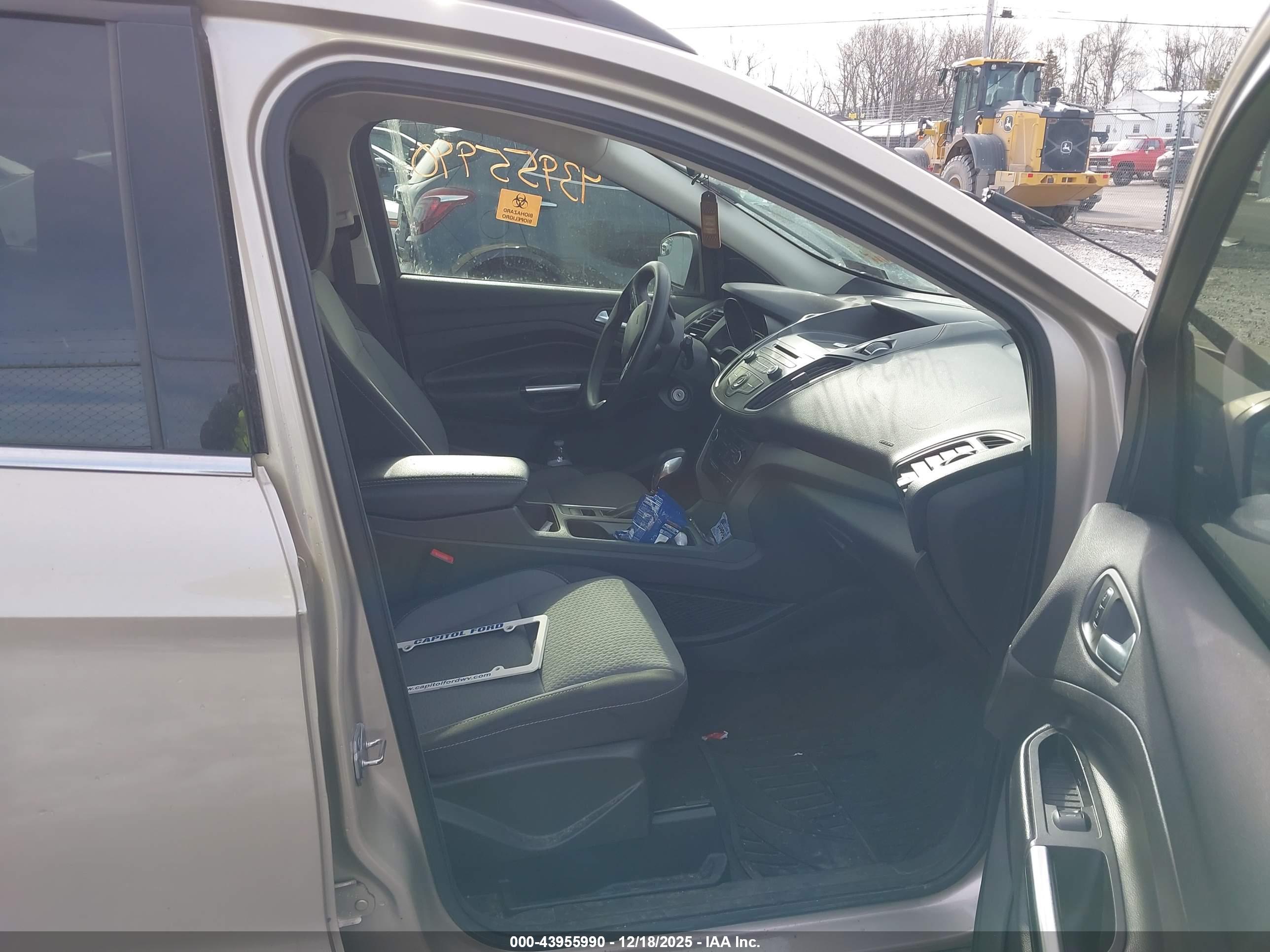 FORD ESCAPE image 5