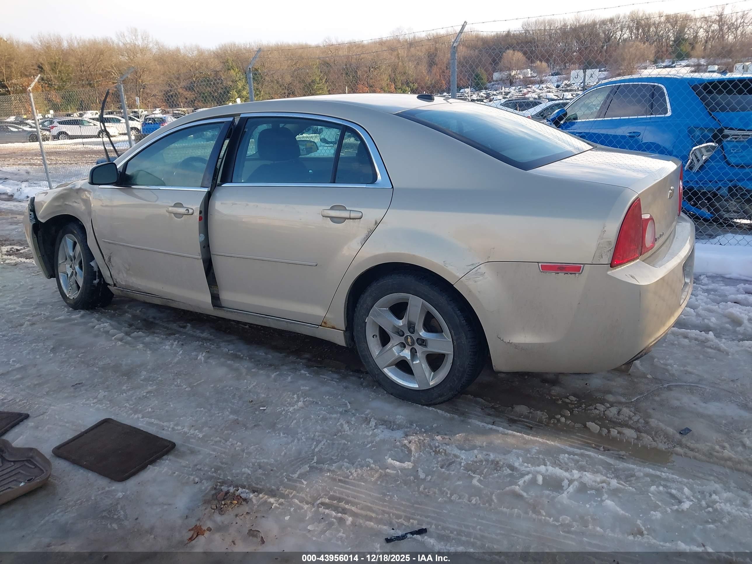 CHEVROLET MALIBU image 3