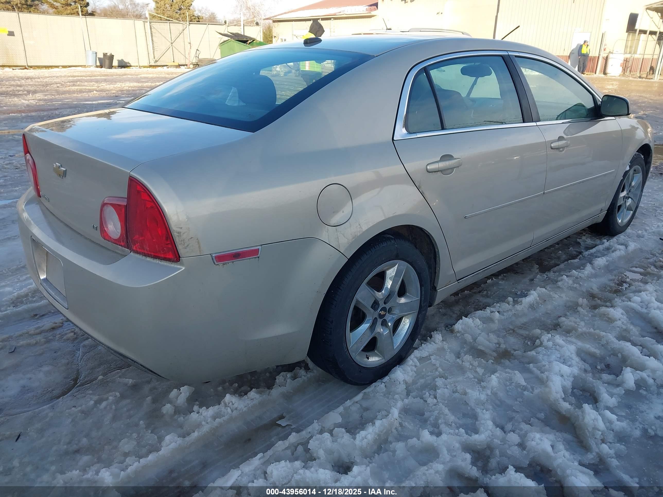 CHEVROLET MALIBU image 4