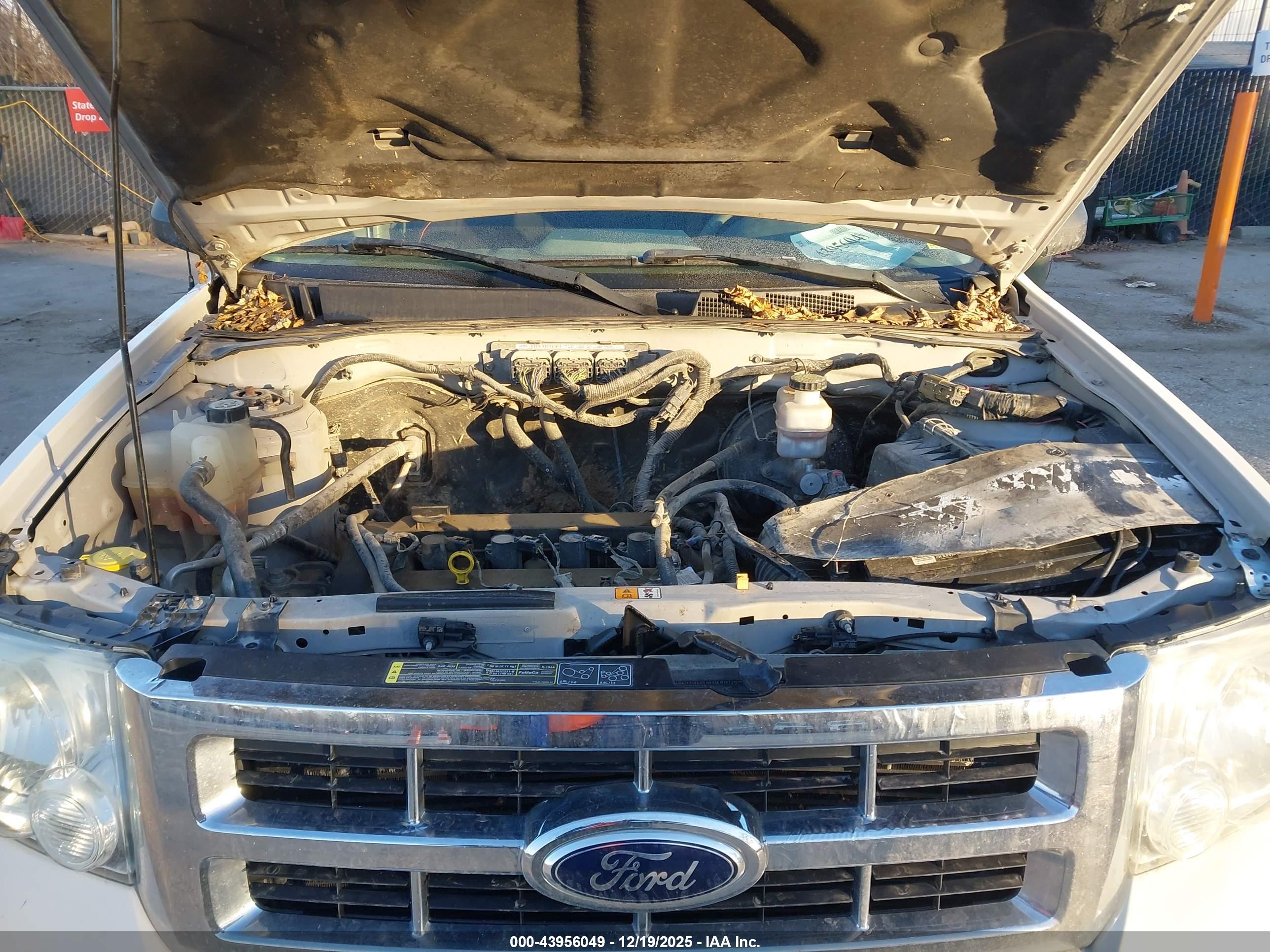 FORD ESCAPE image 10