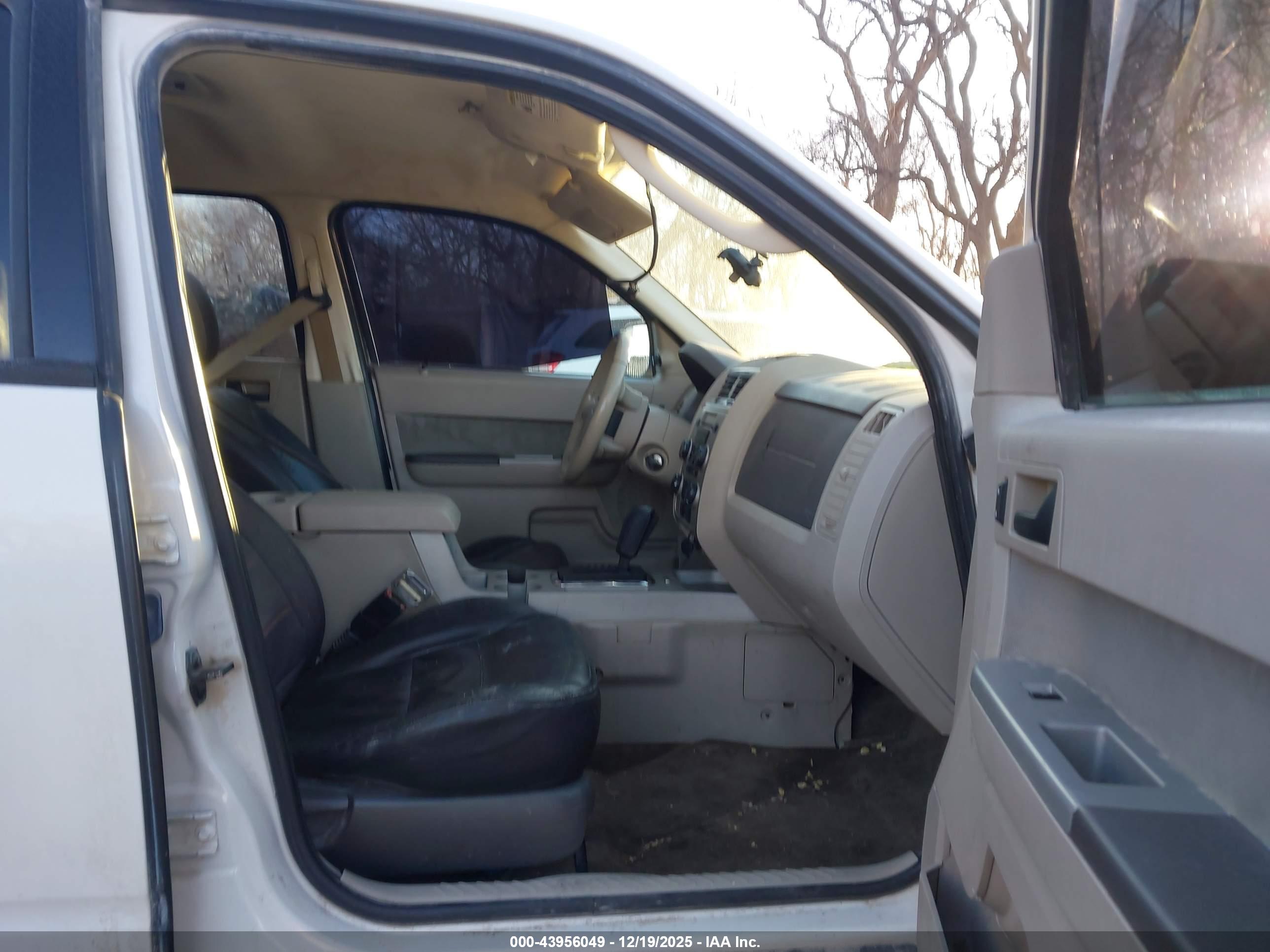 FORD ESCAPE image 5