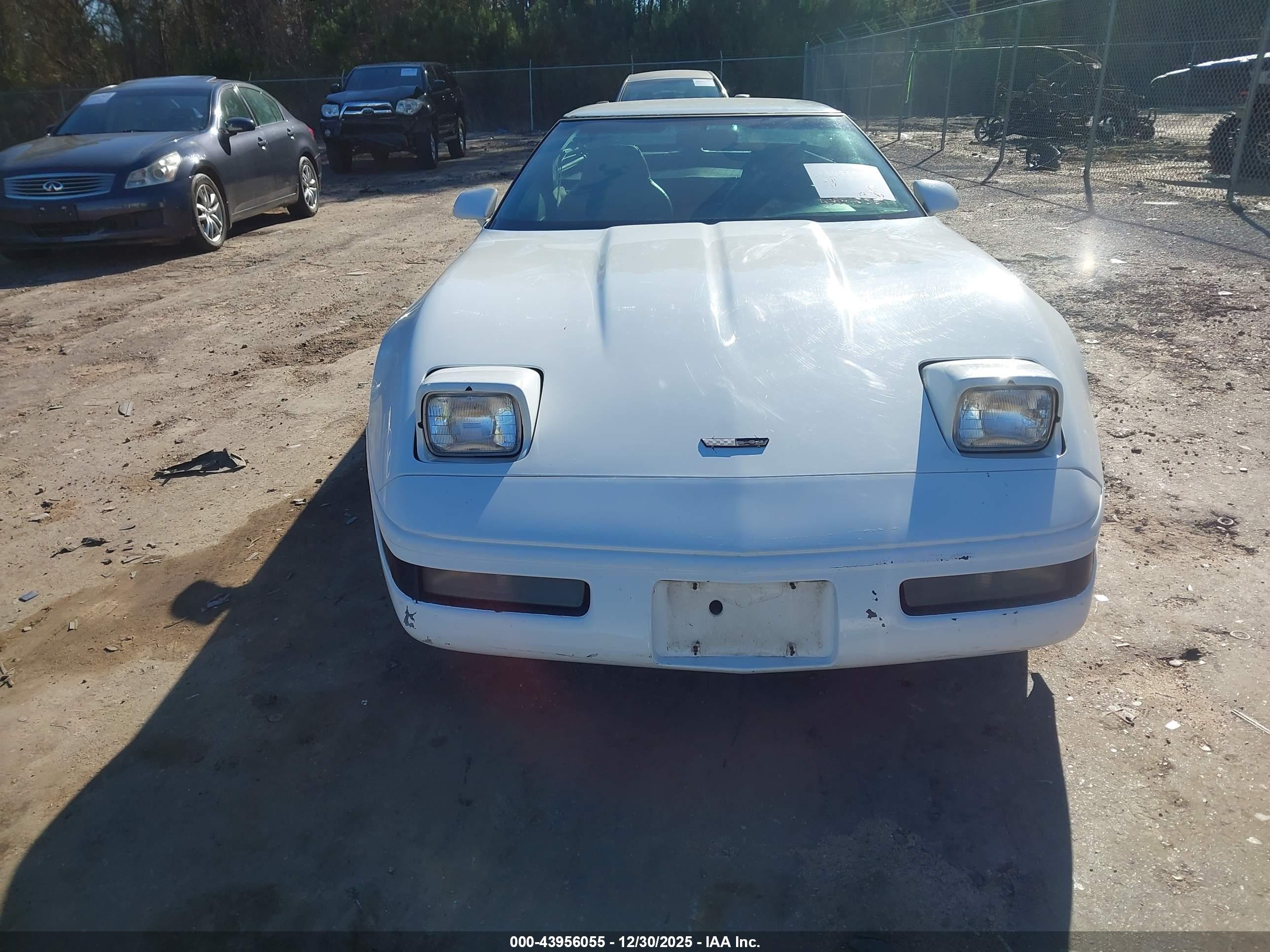 CHEVROLET CORVETTE image 6
