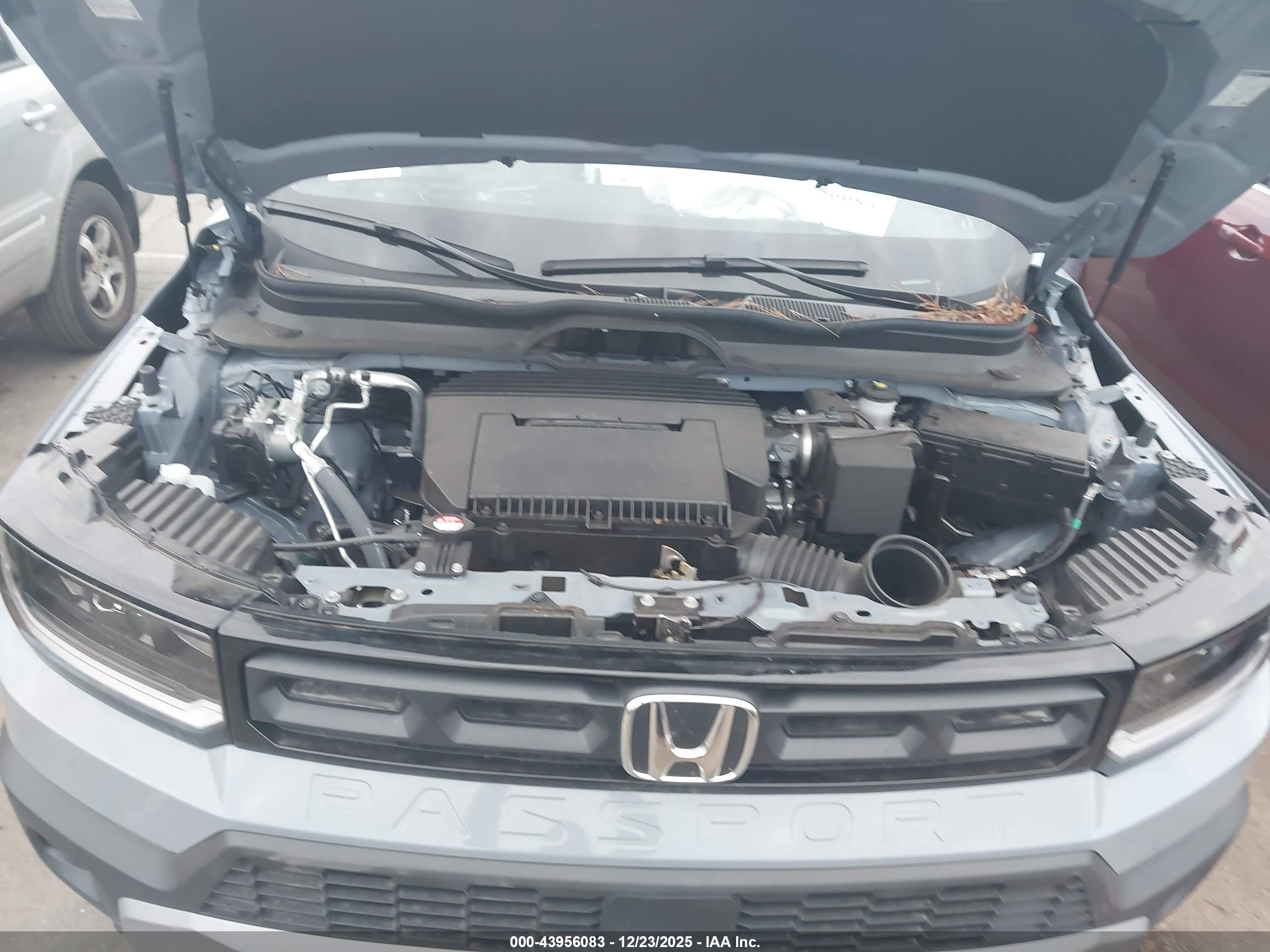 HONDA PASSPORT image 10