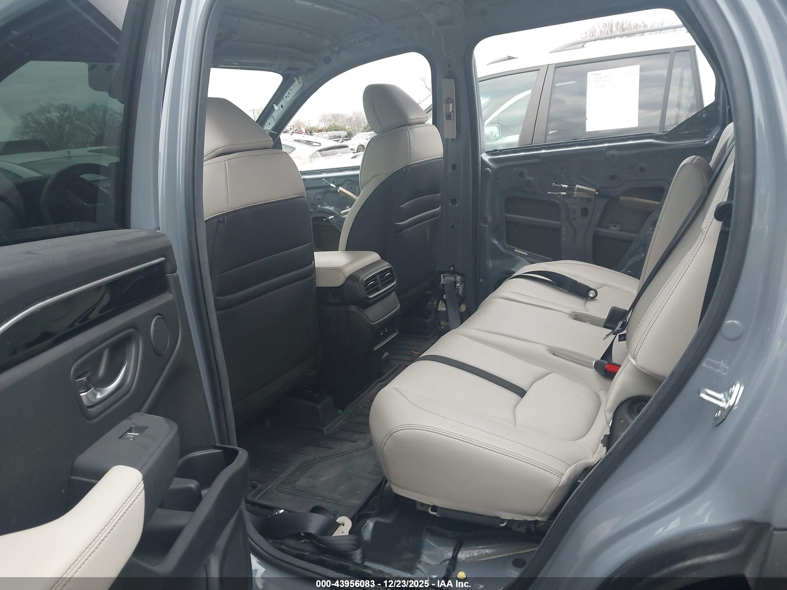 HONDA PASSPORT image 8