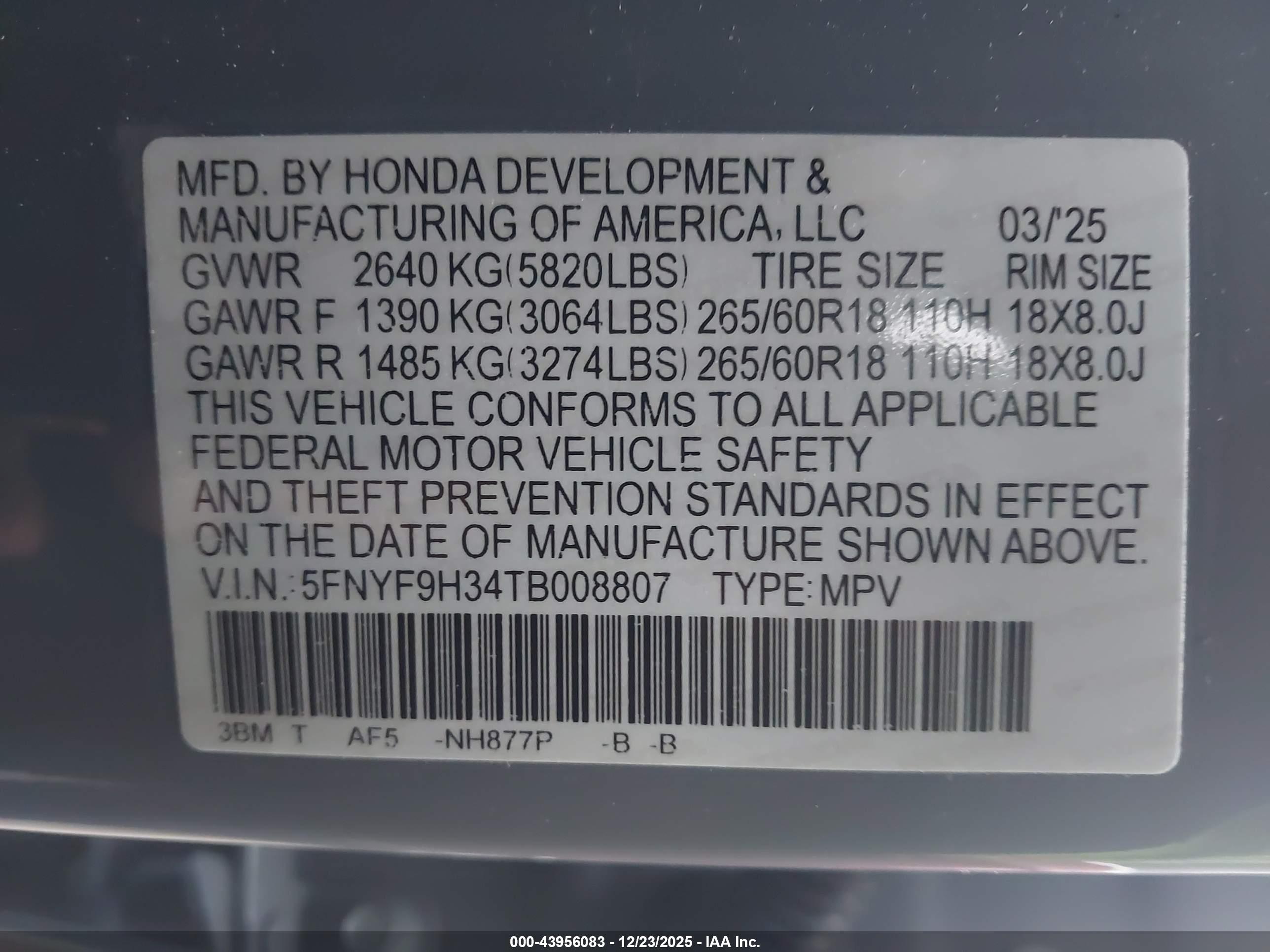 HONDA PASSPORT image 9