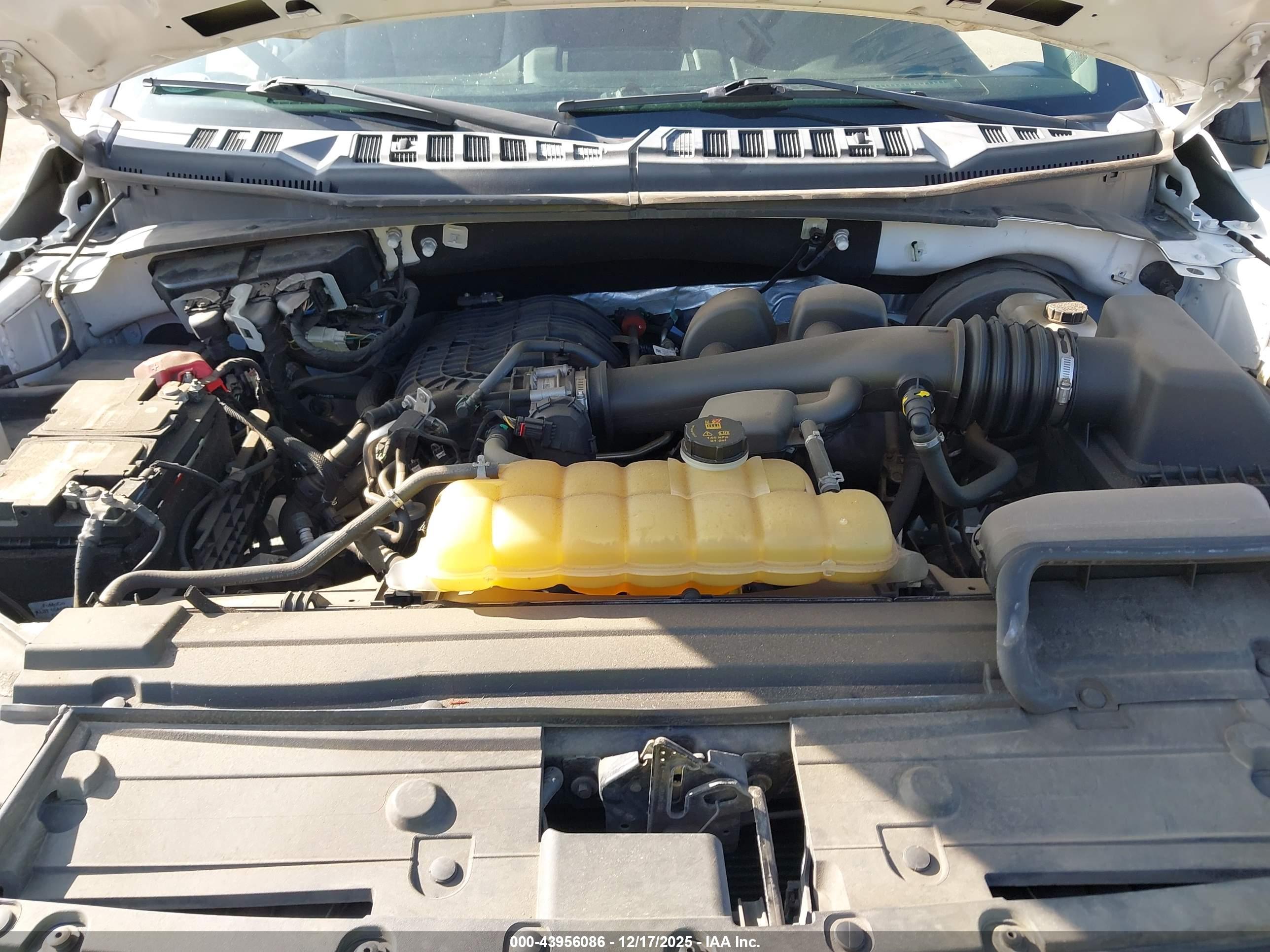 FORD F-150 image 10