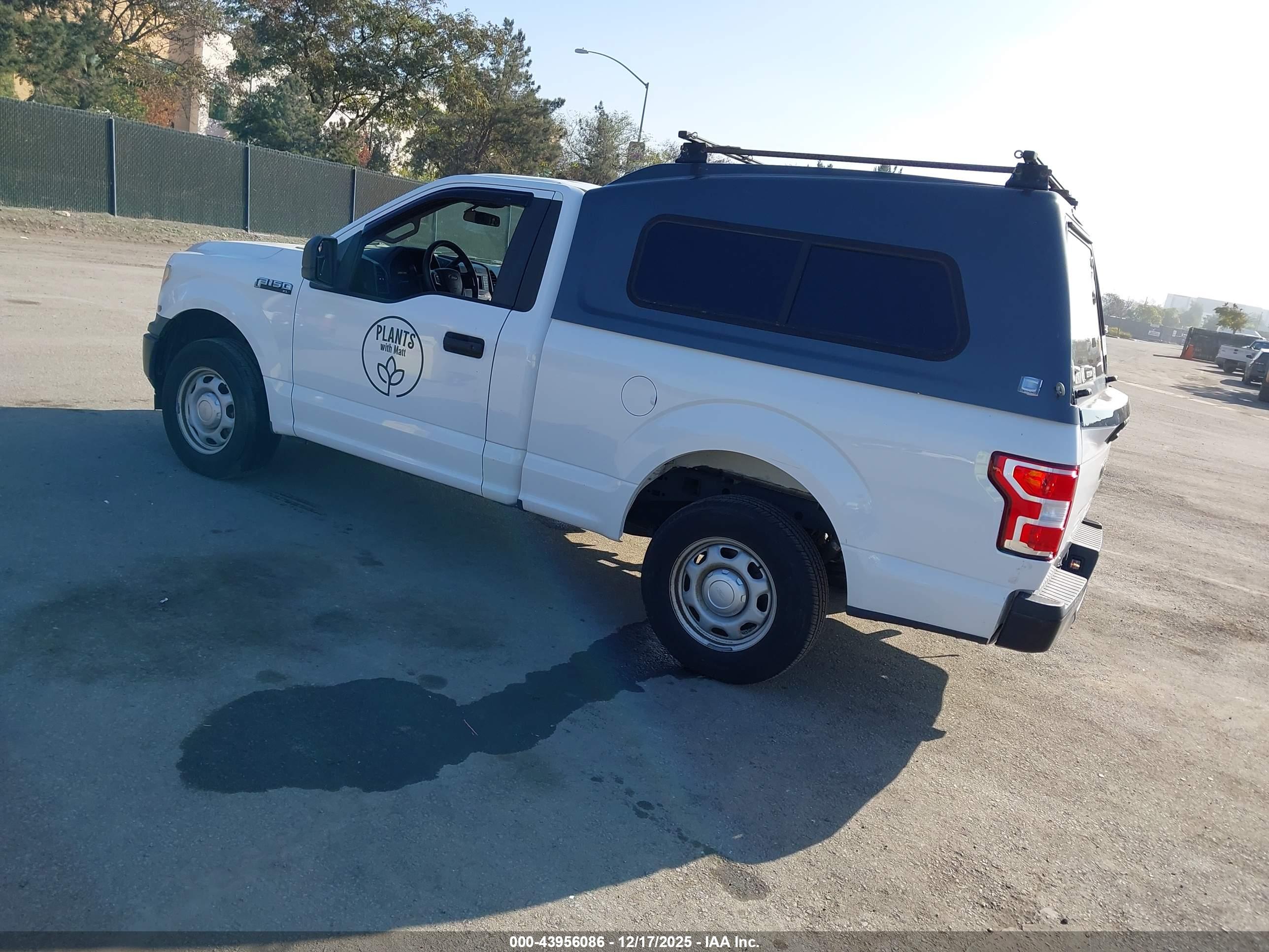 FORD F-150 image 3