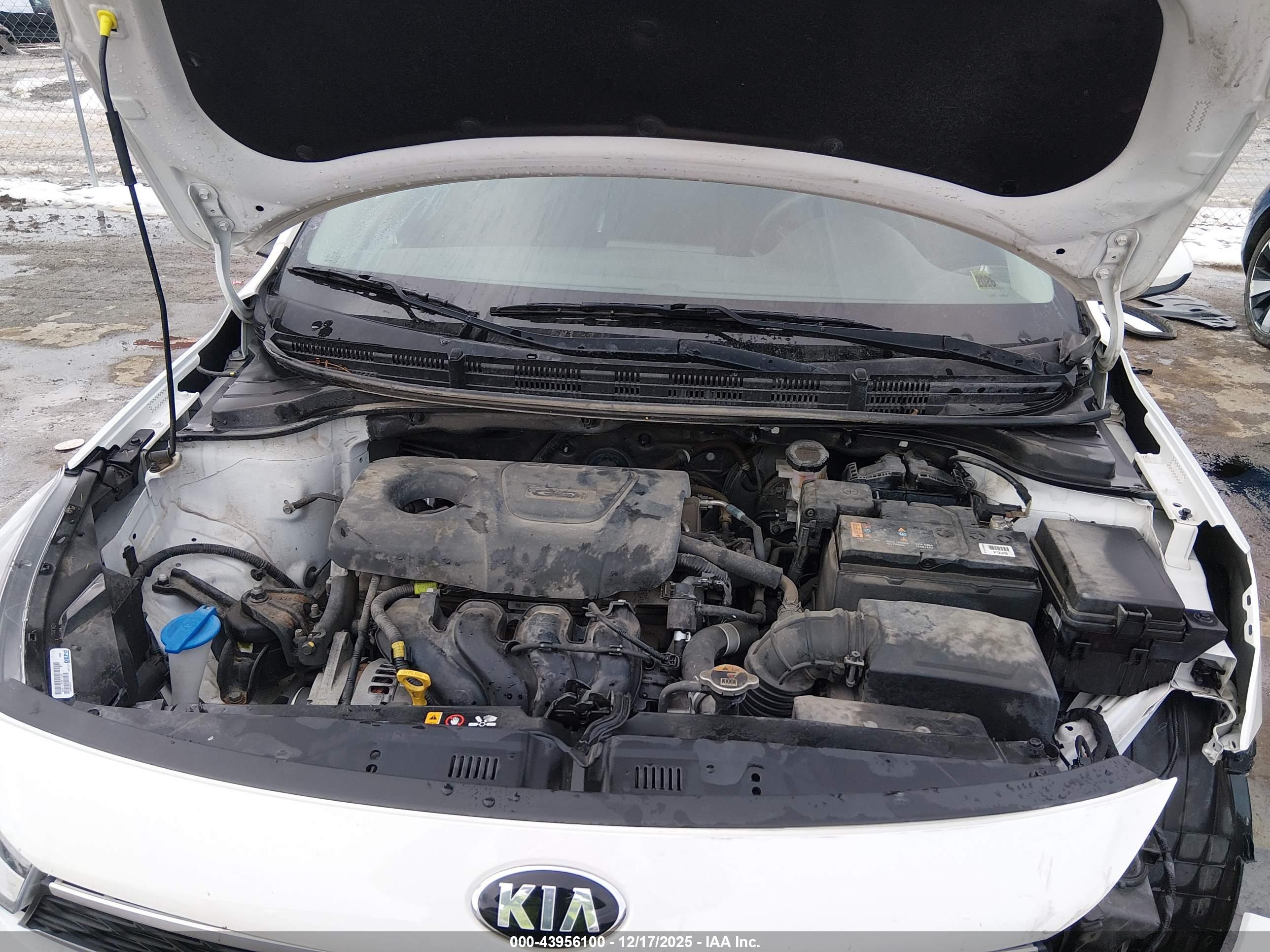 KIA RIO image 10
