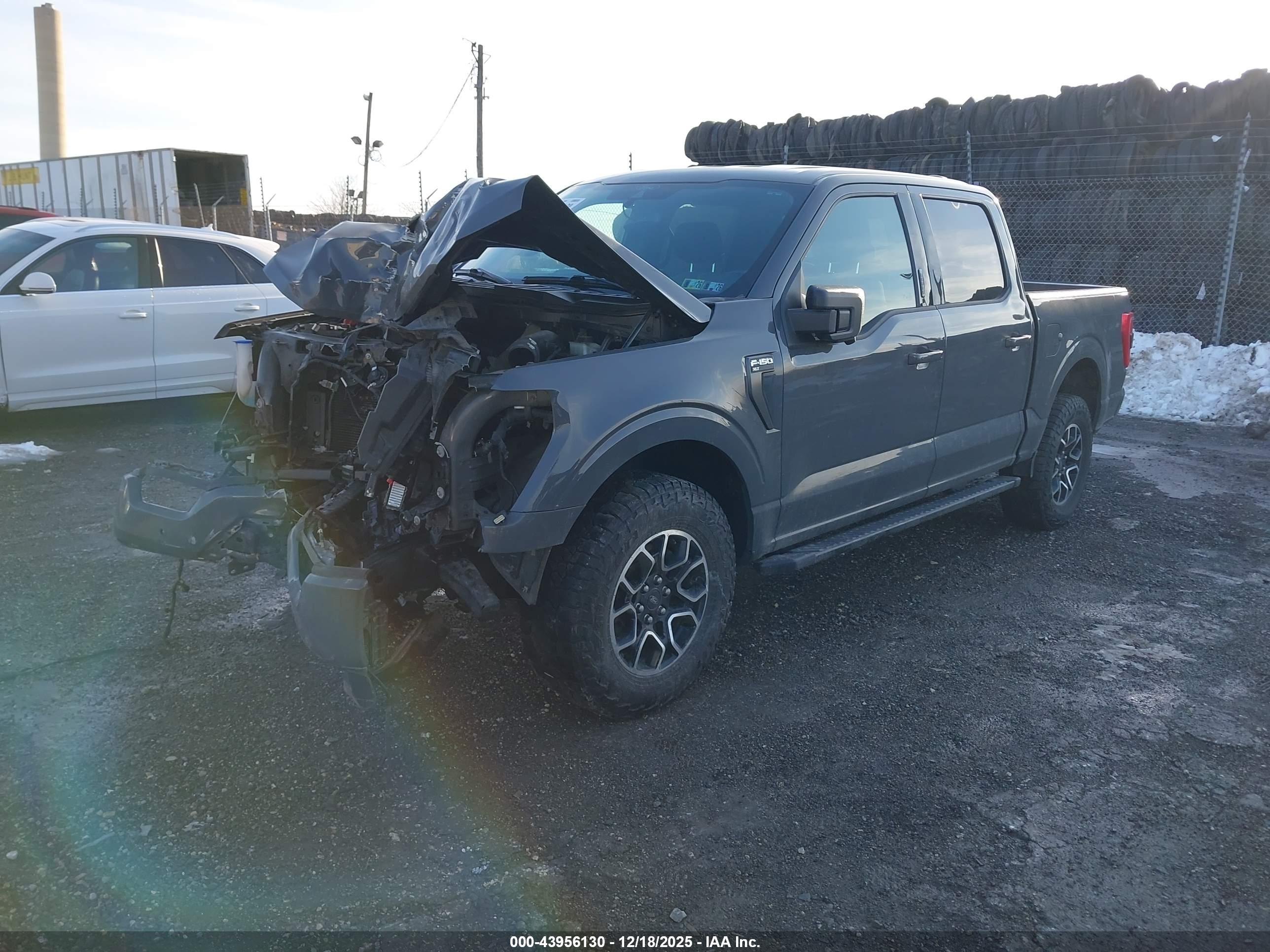 FORD F-150 image 2