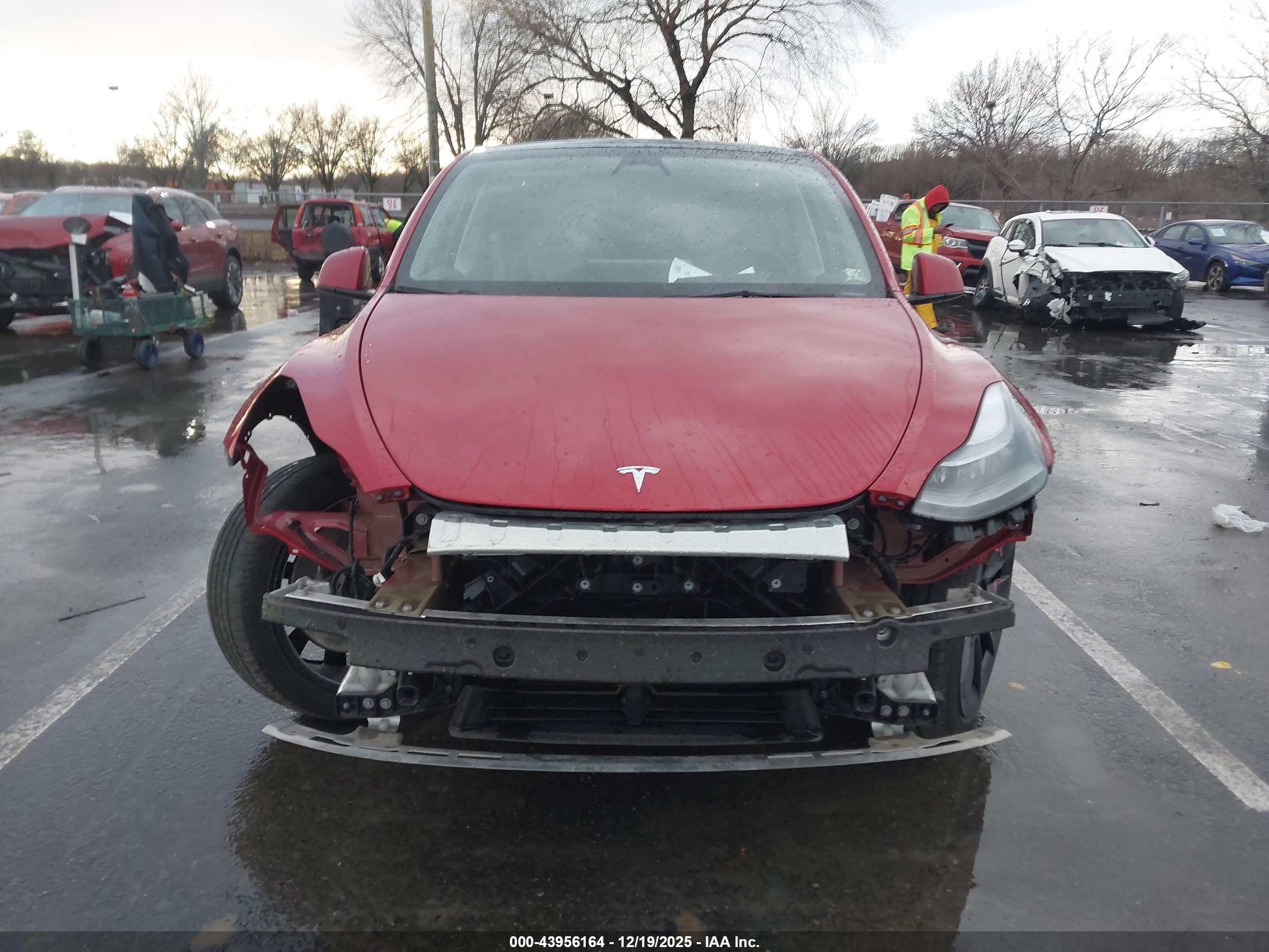 TESLA MODEL image 6