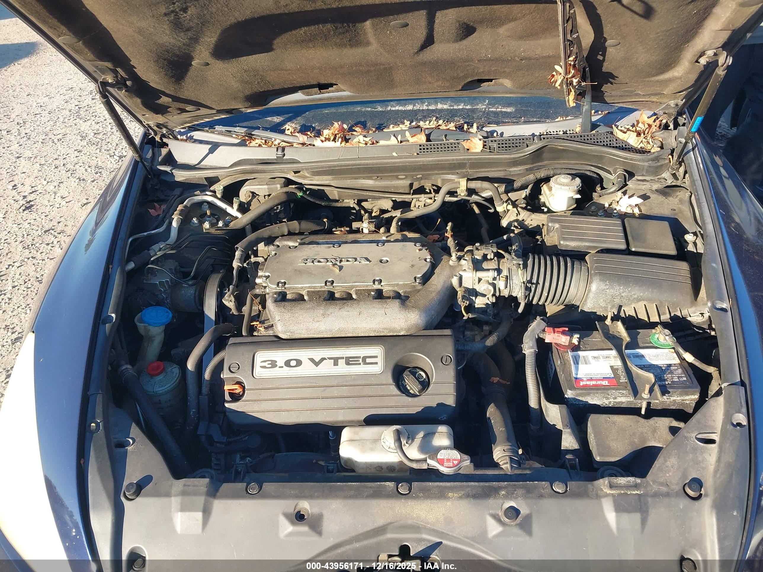 HONDA ACCORD image 10