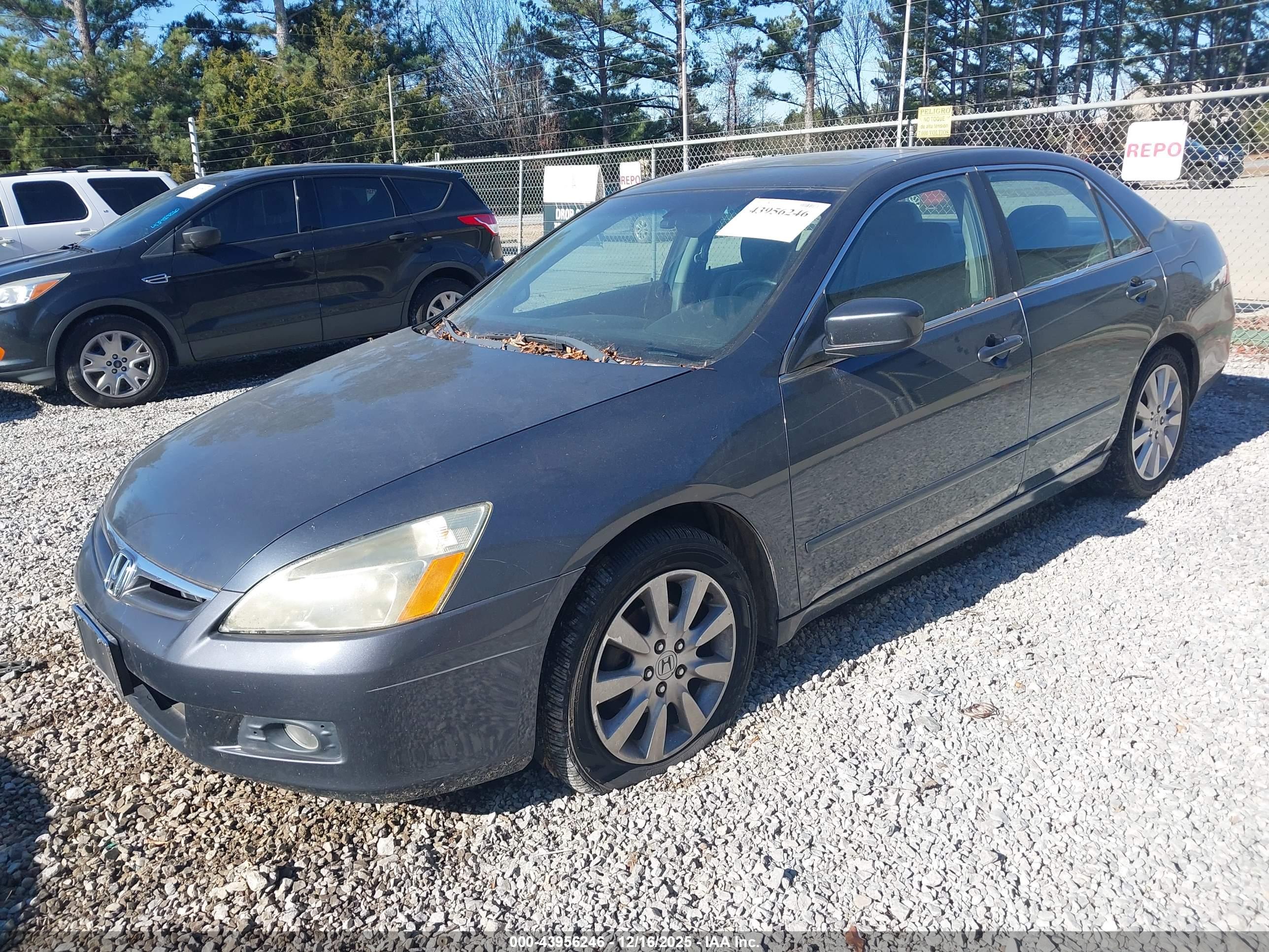 HONDA ACCORD image 6