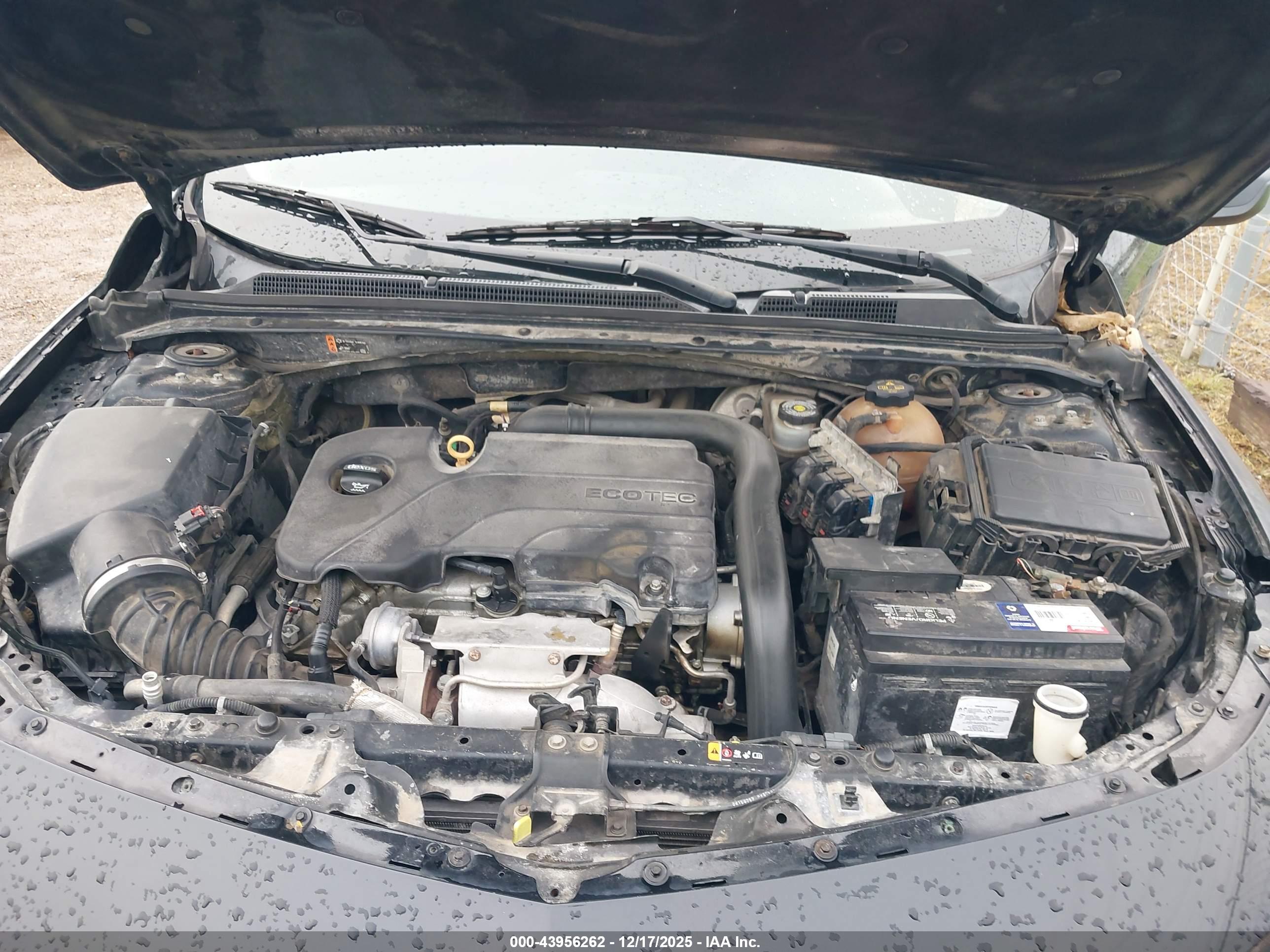 CHEVROLET MALIBU image 10