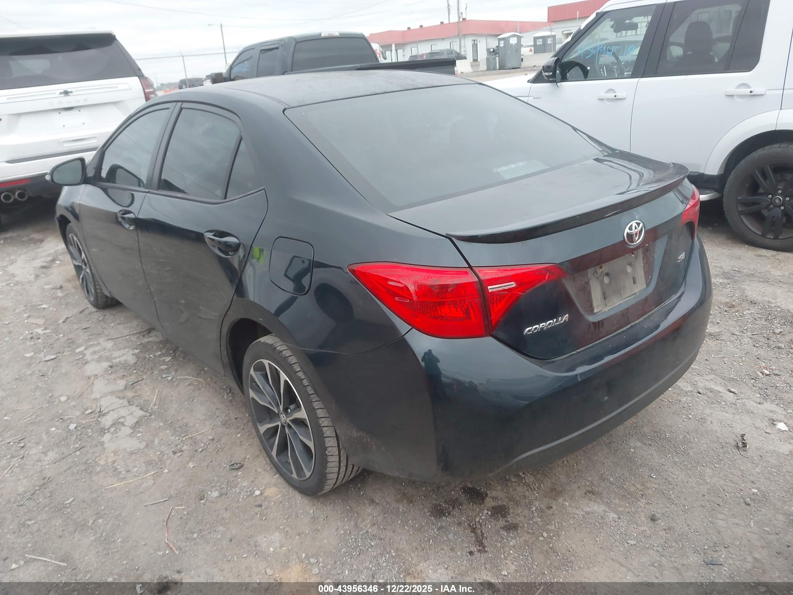 TOYOTA COROLLA image 3