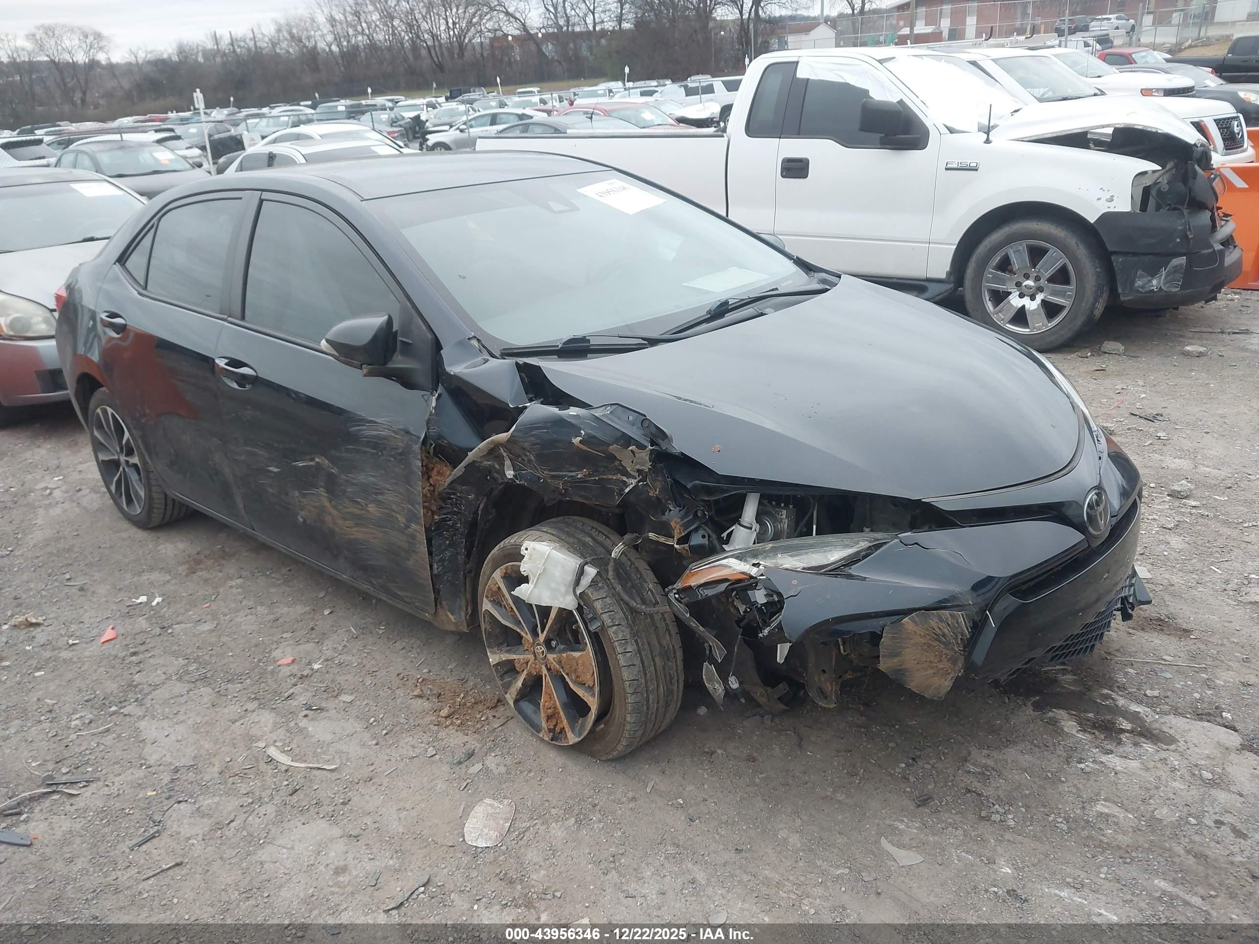 TOYOTA COROLLA image 6
