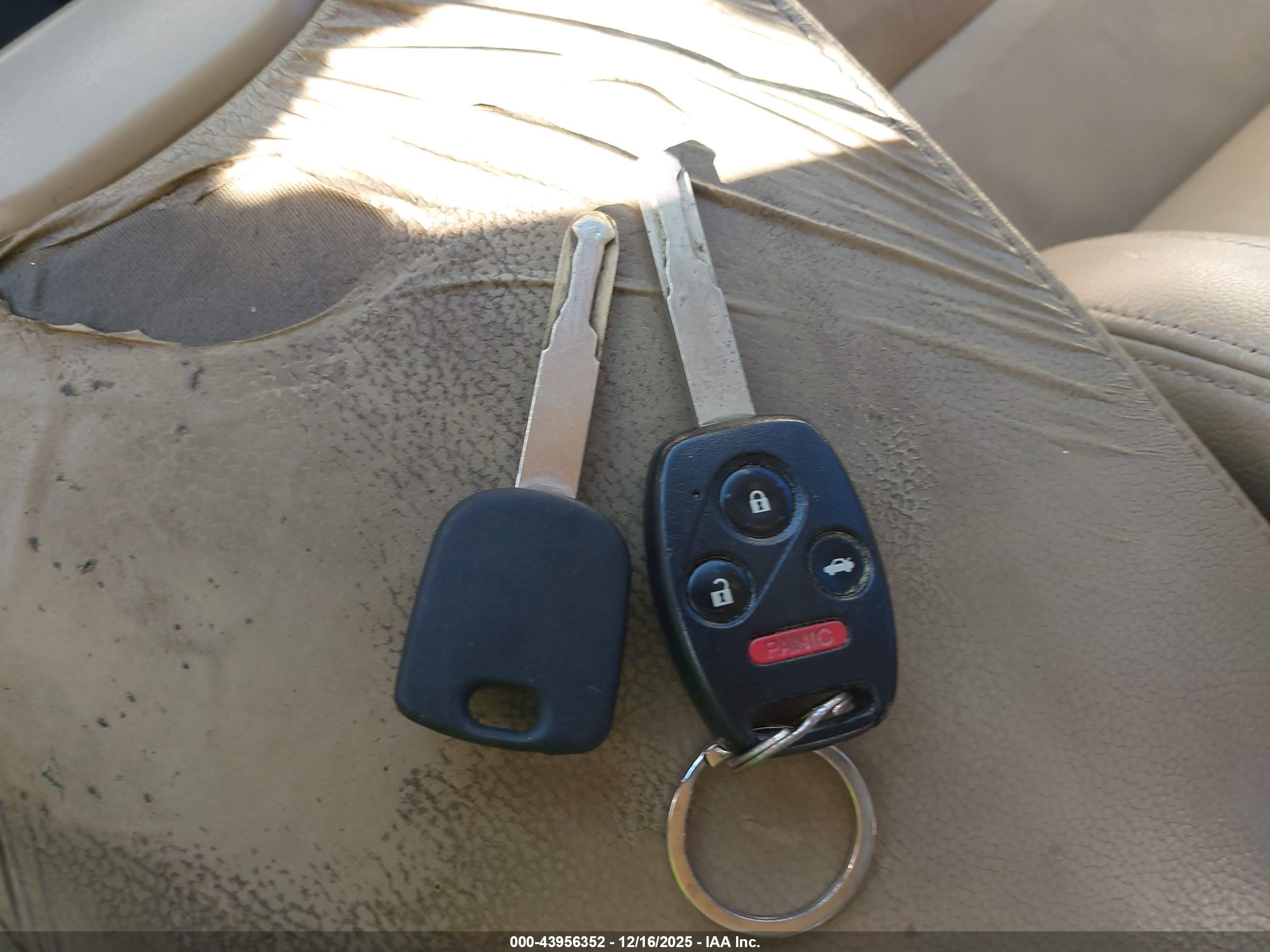 HONDA ACCORD image 11
