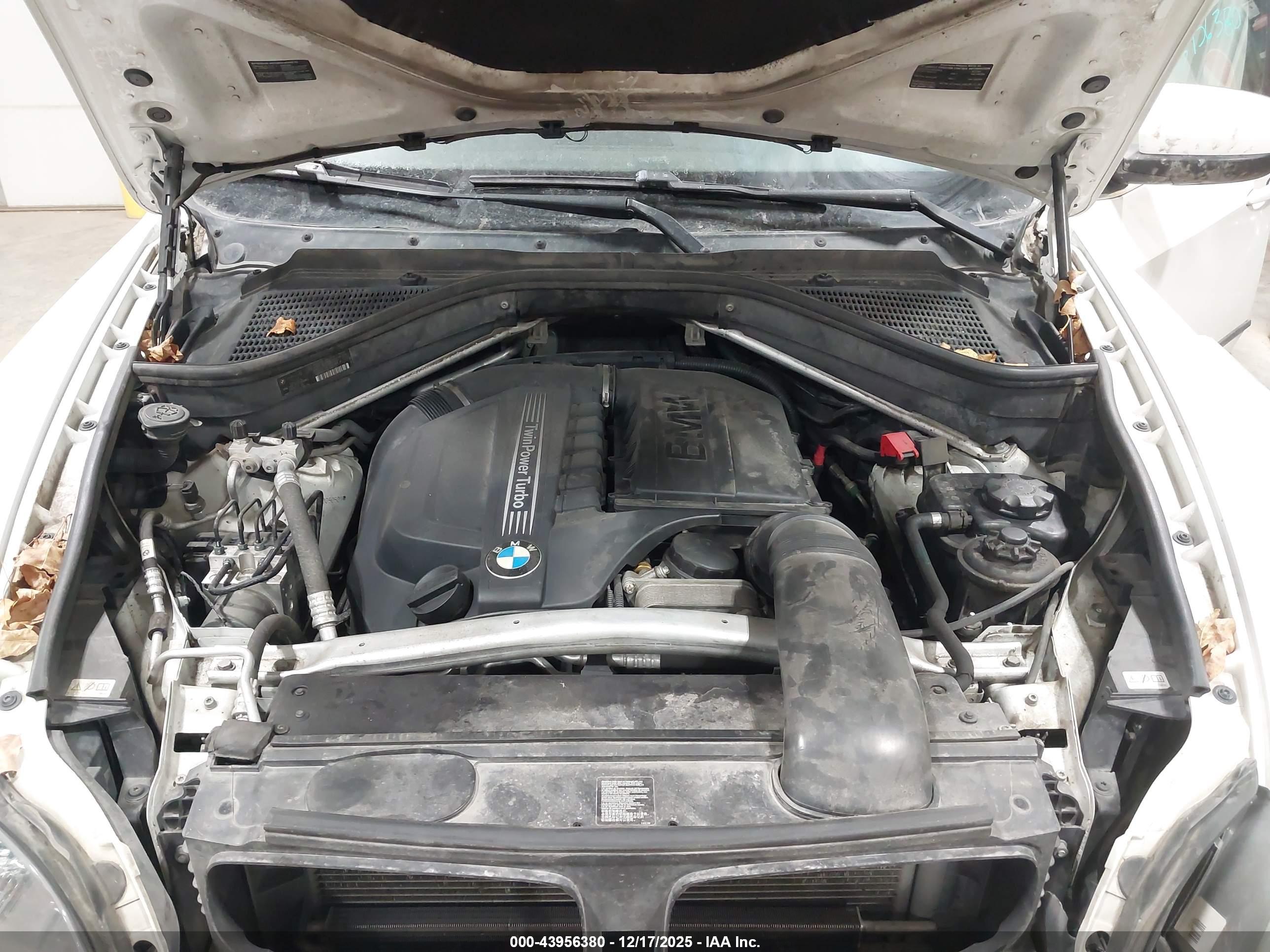 BMW X5 image 10