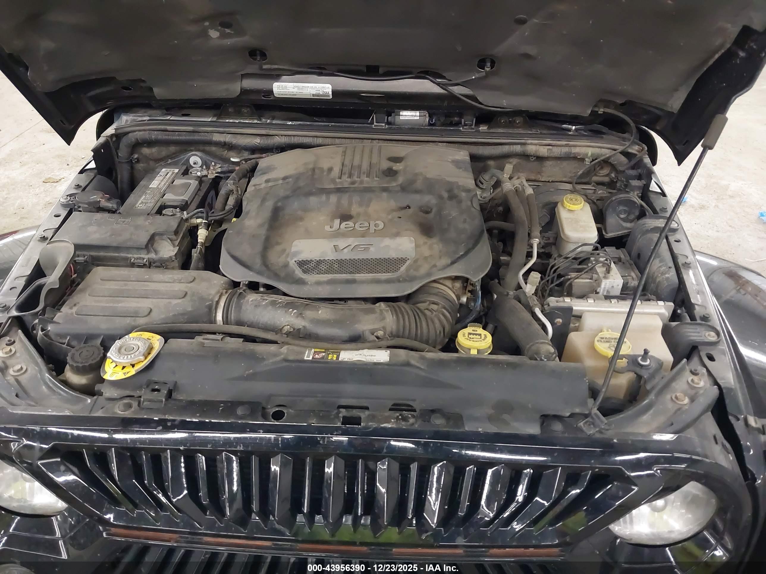 JEEP WRANGLER image 10