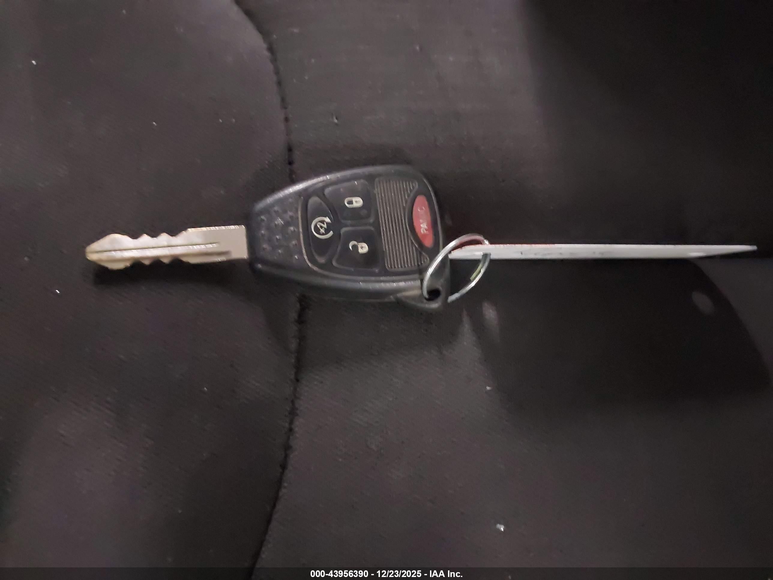 JEEP WRANGLER image 11