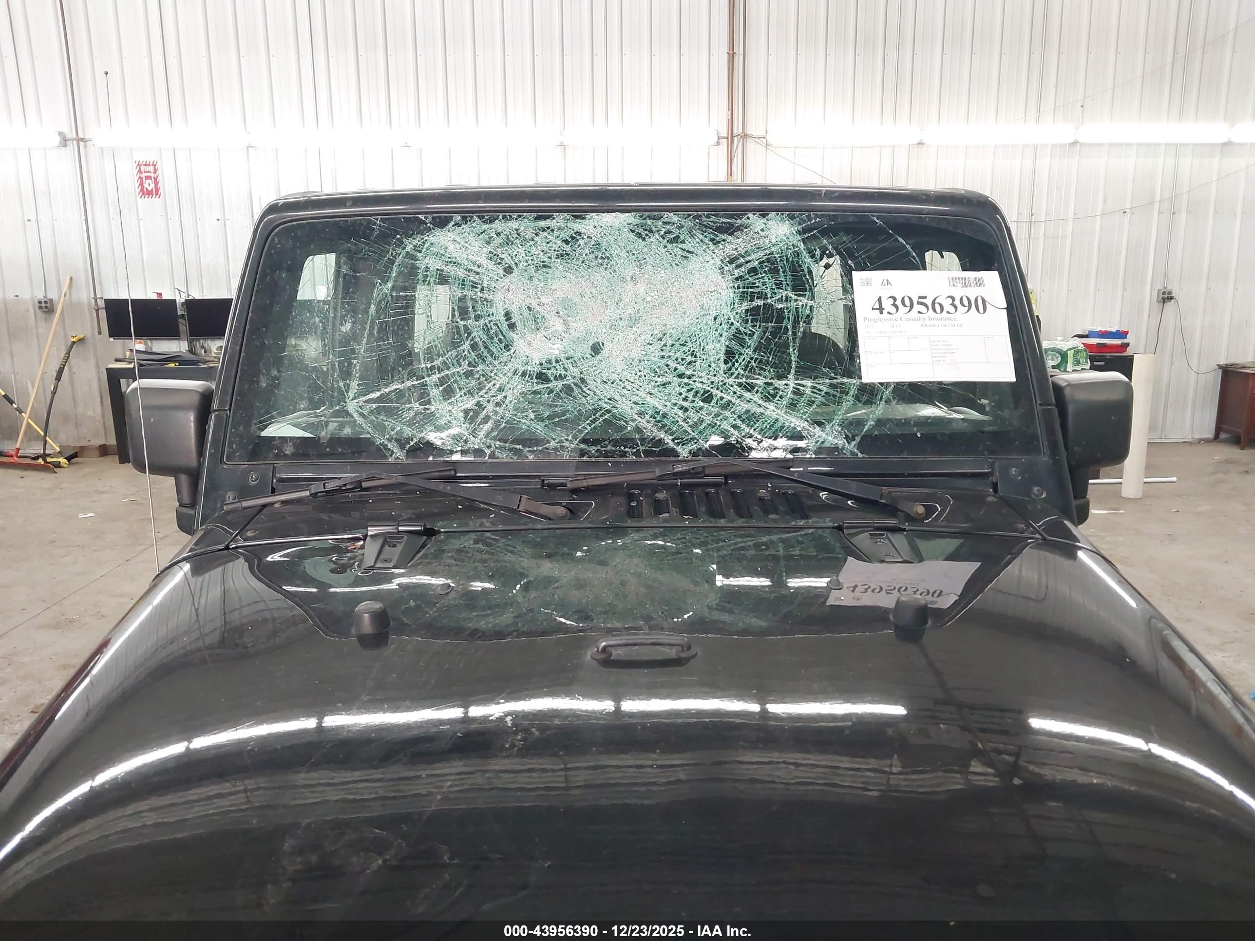 JEEP WRANGLER image 6