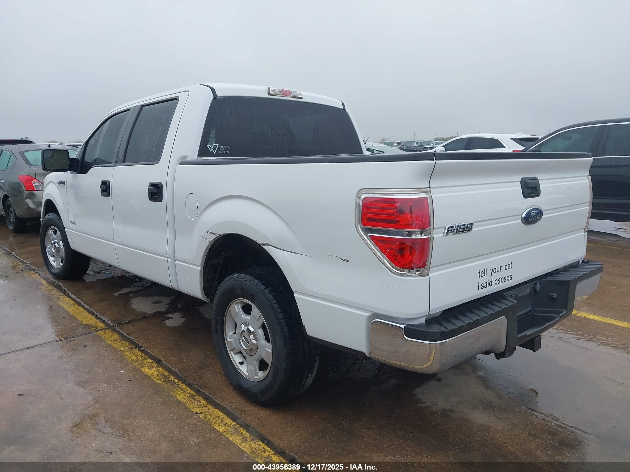 FORD F-150 image 3