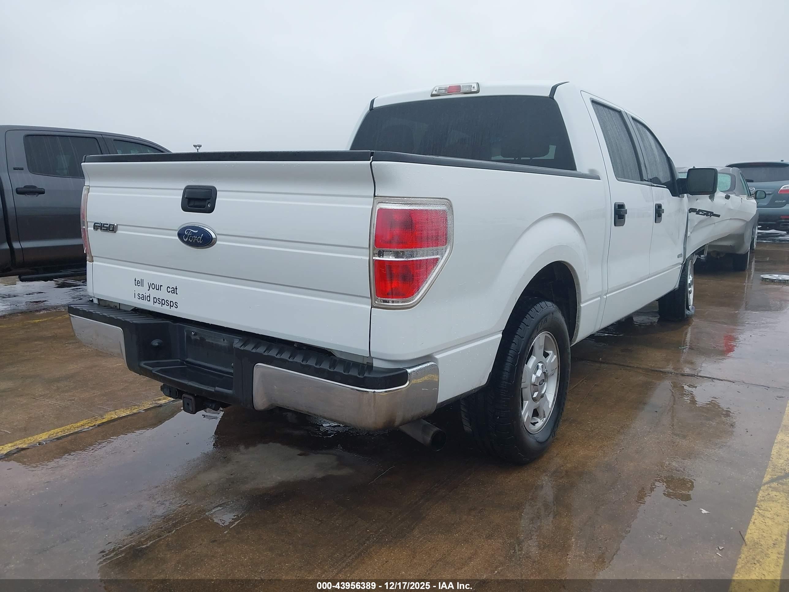 FORD F-150 image 4