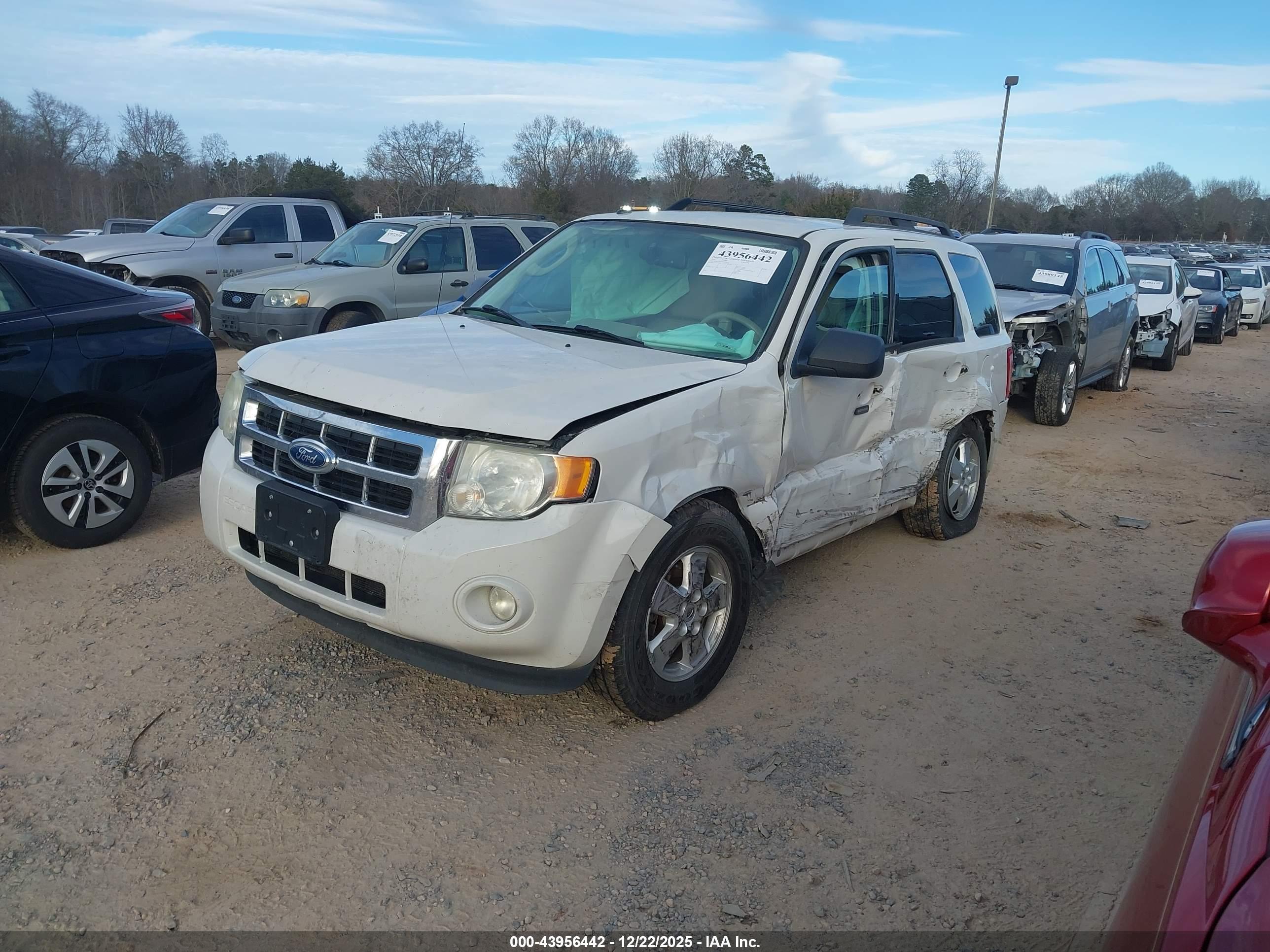 FORD ESCAPE image 2