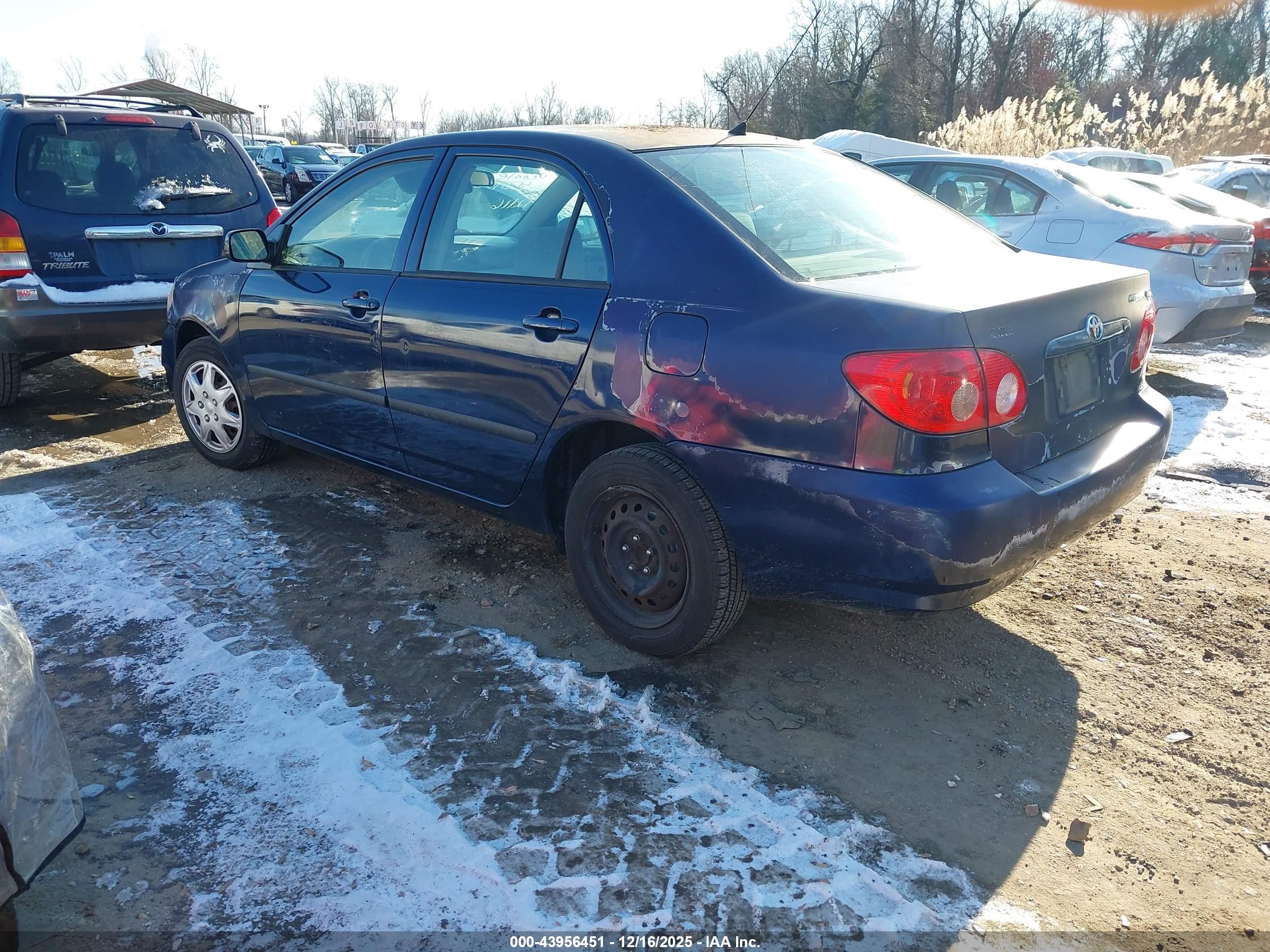 TOYOTA COROLLA image 3