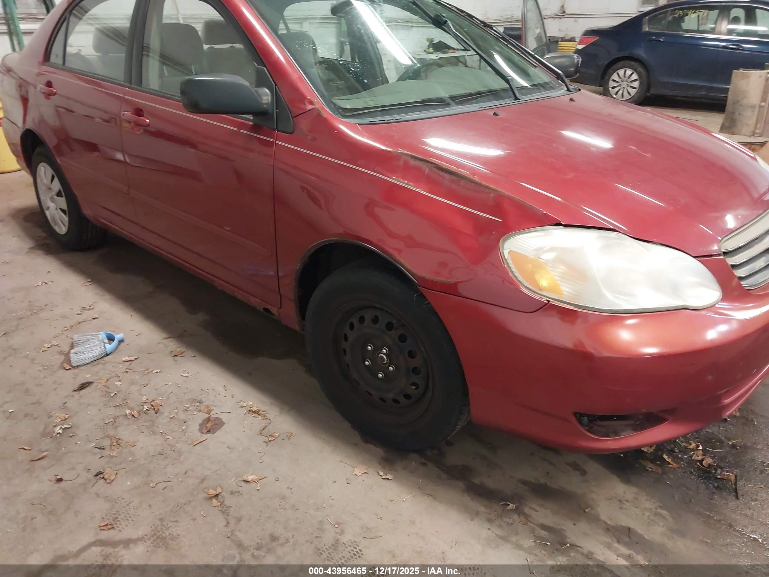 TOYOTA COROLLA image 6