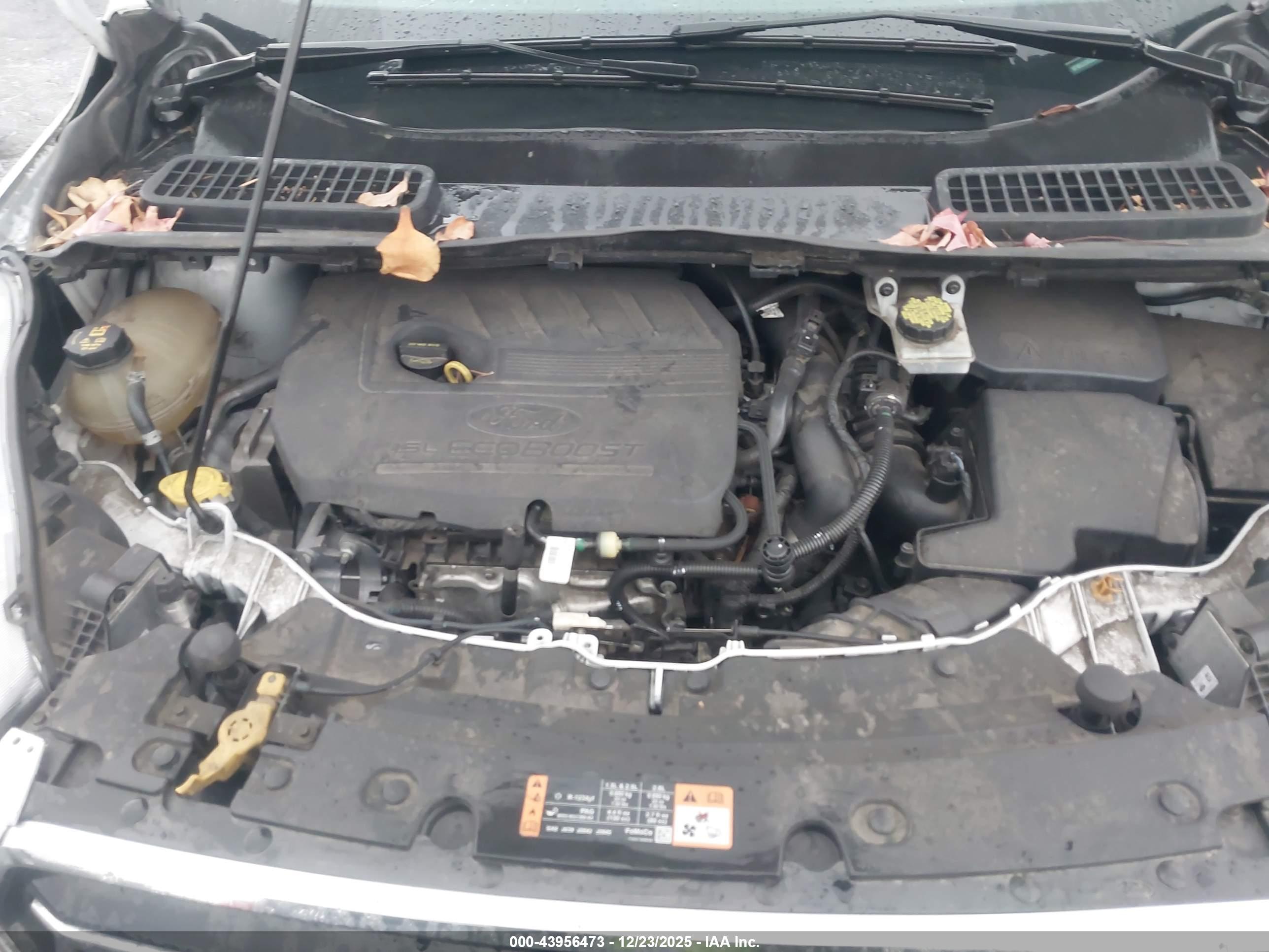 FORD ESCAPE image 10