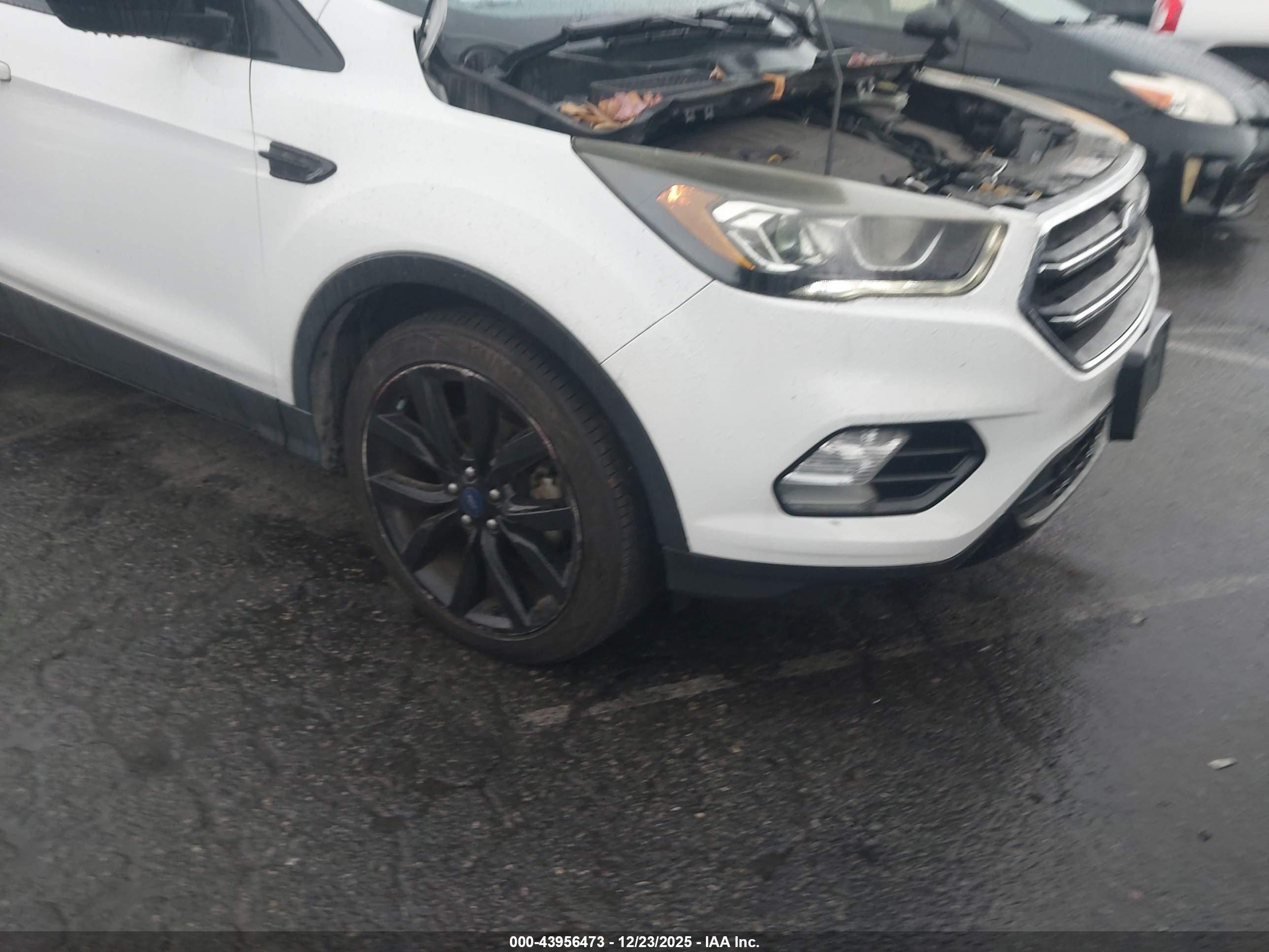 FORD ESCAPE image 6
