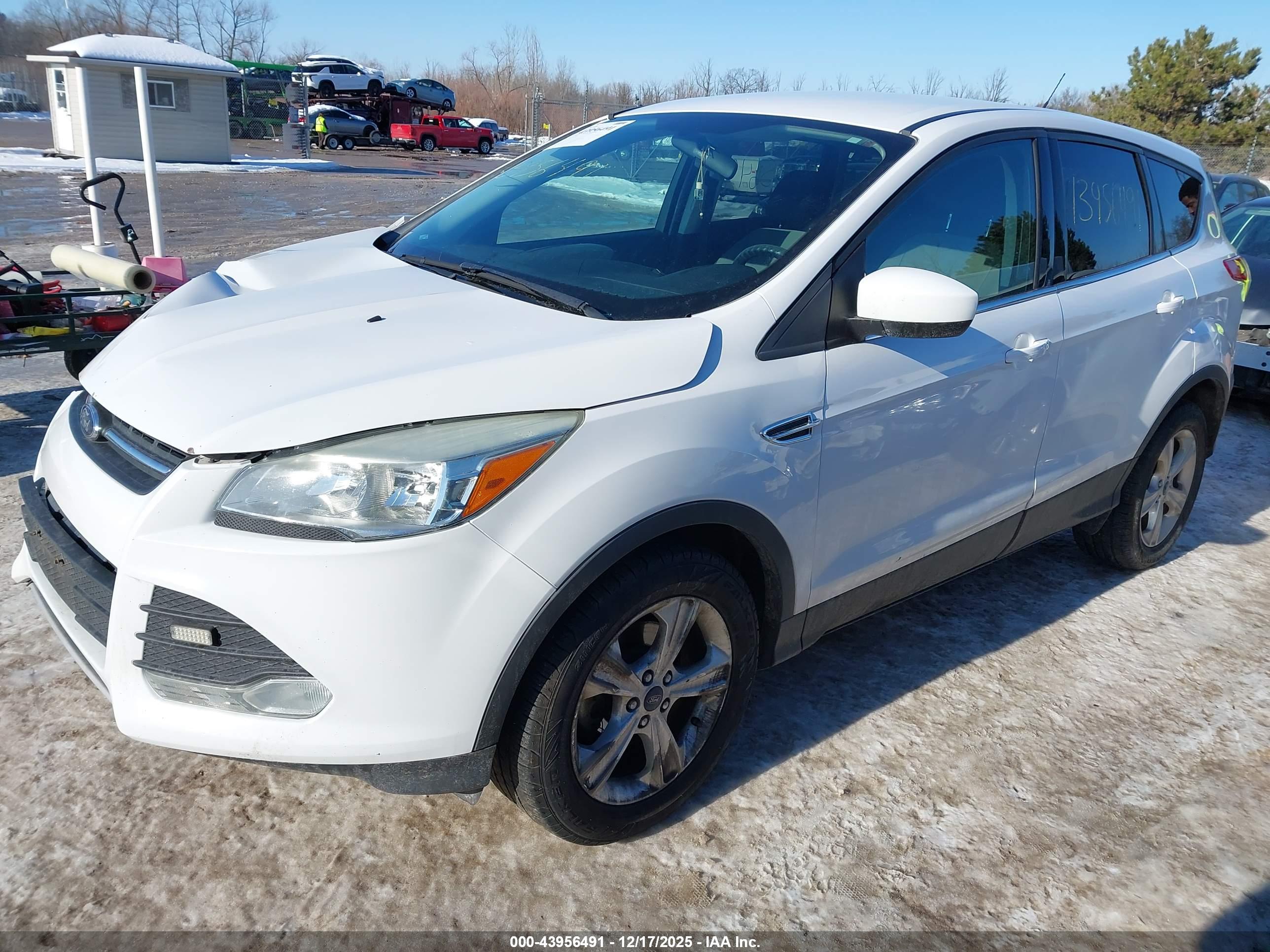 FORD ESCAPE image 2
