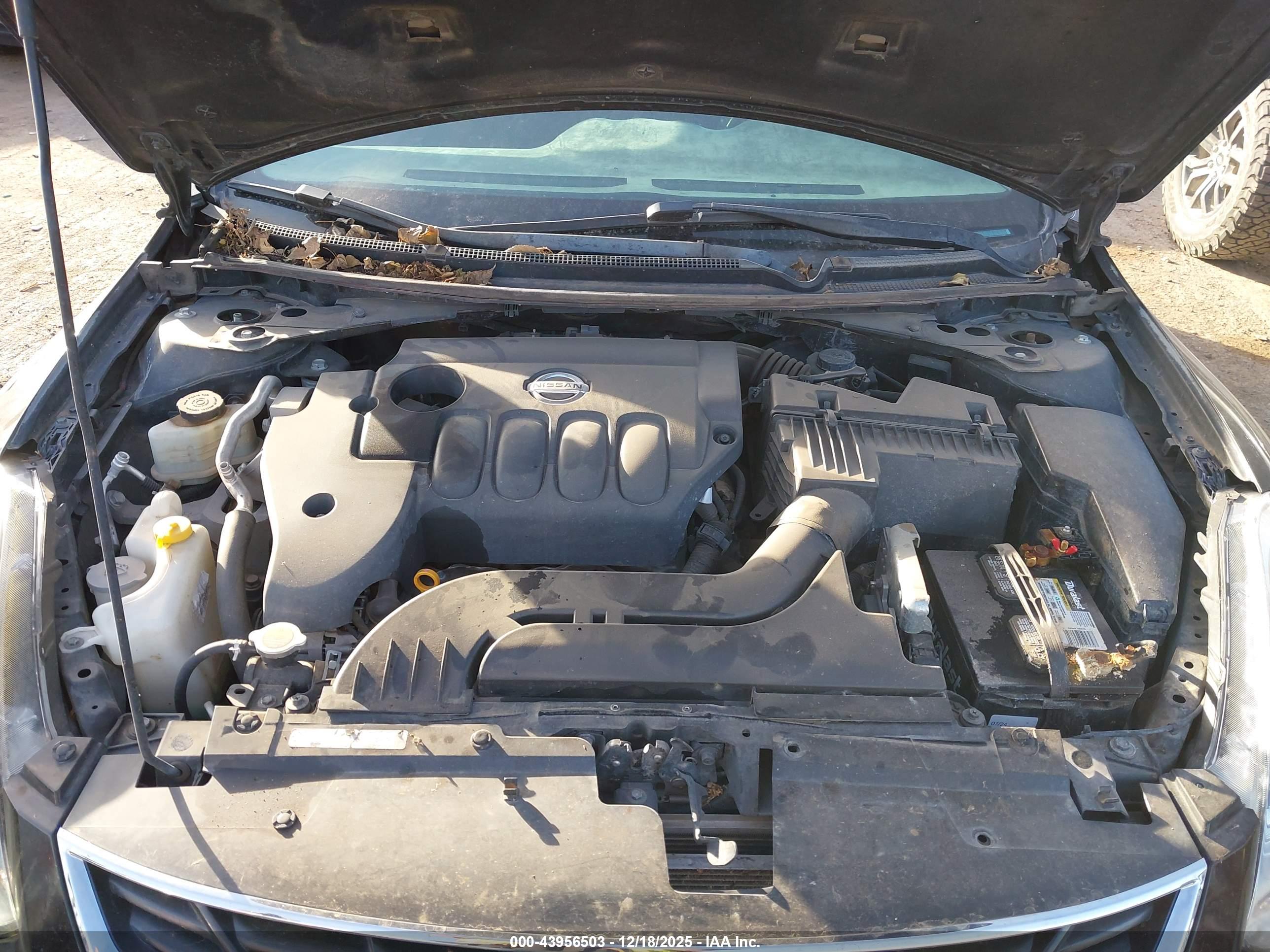 NISSAN ALTIMA image 10