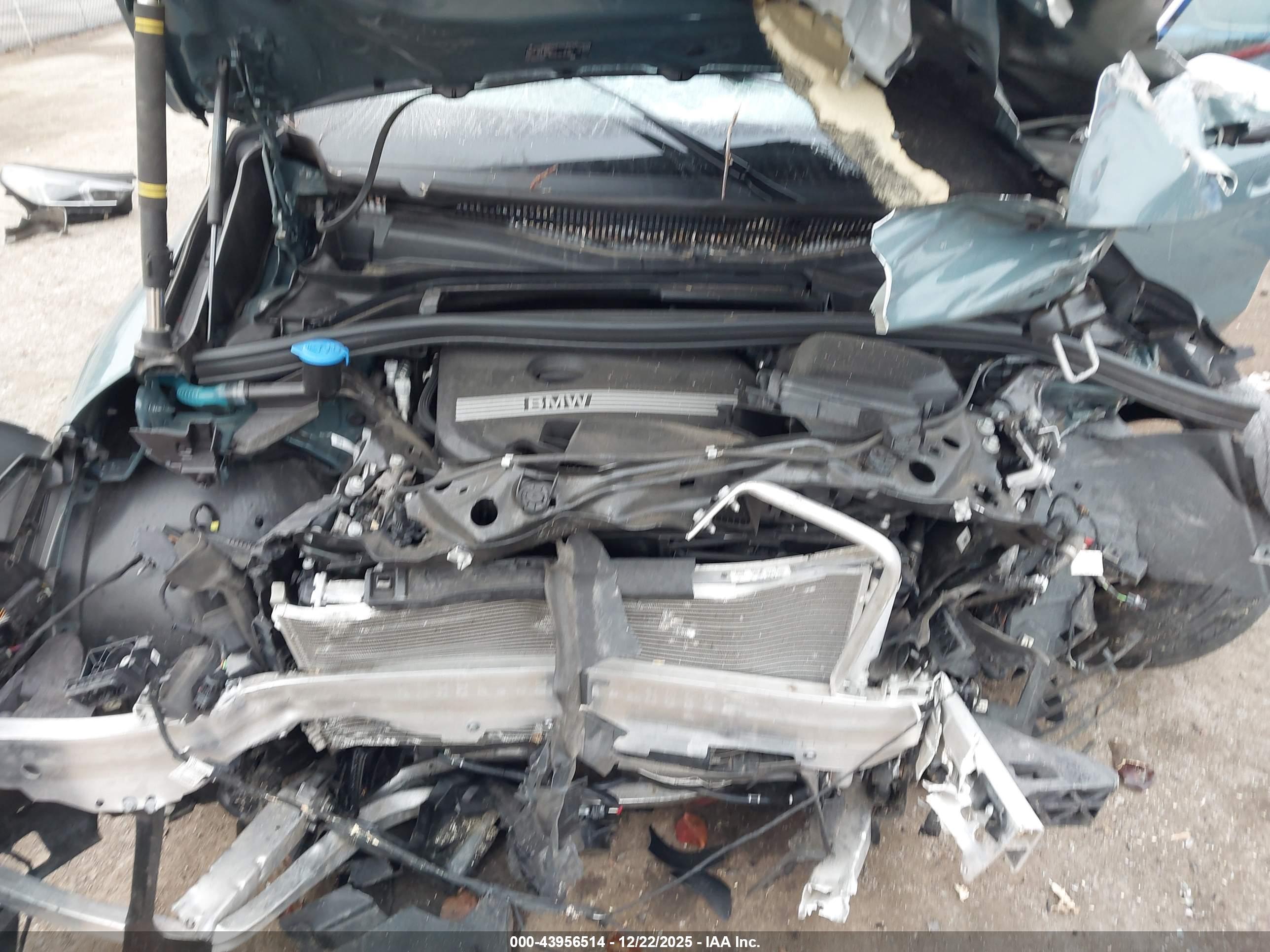 BMW X1 image 10