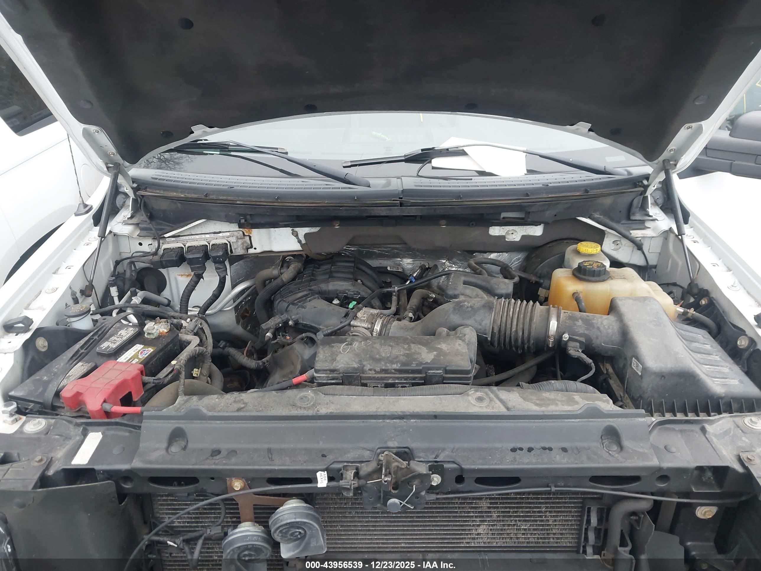 FORD F-150 image 10