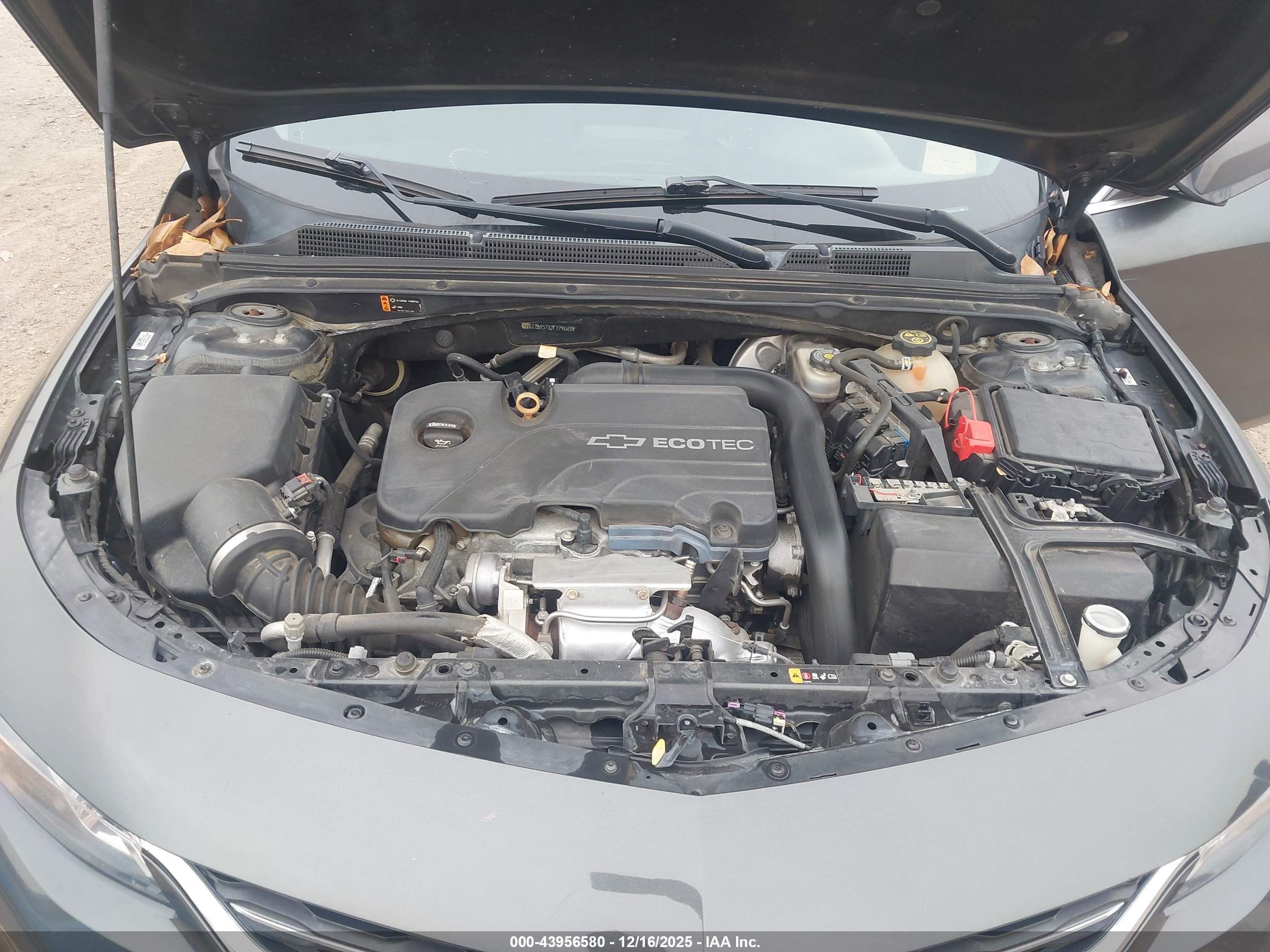 CHEVROLET MALIBU image 10