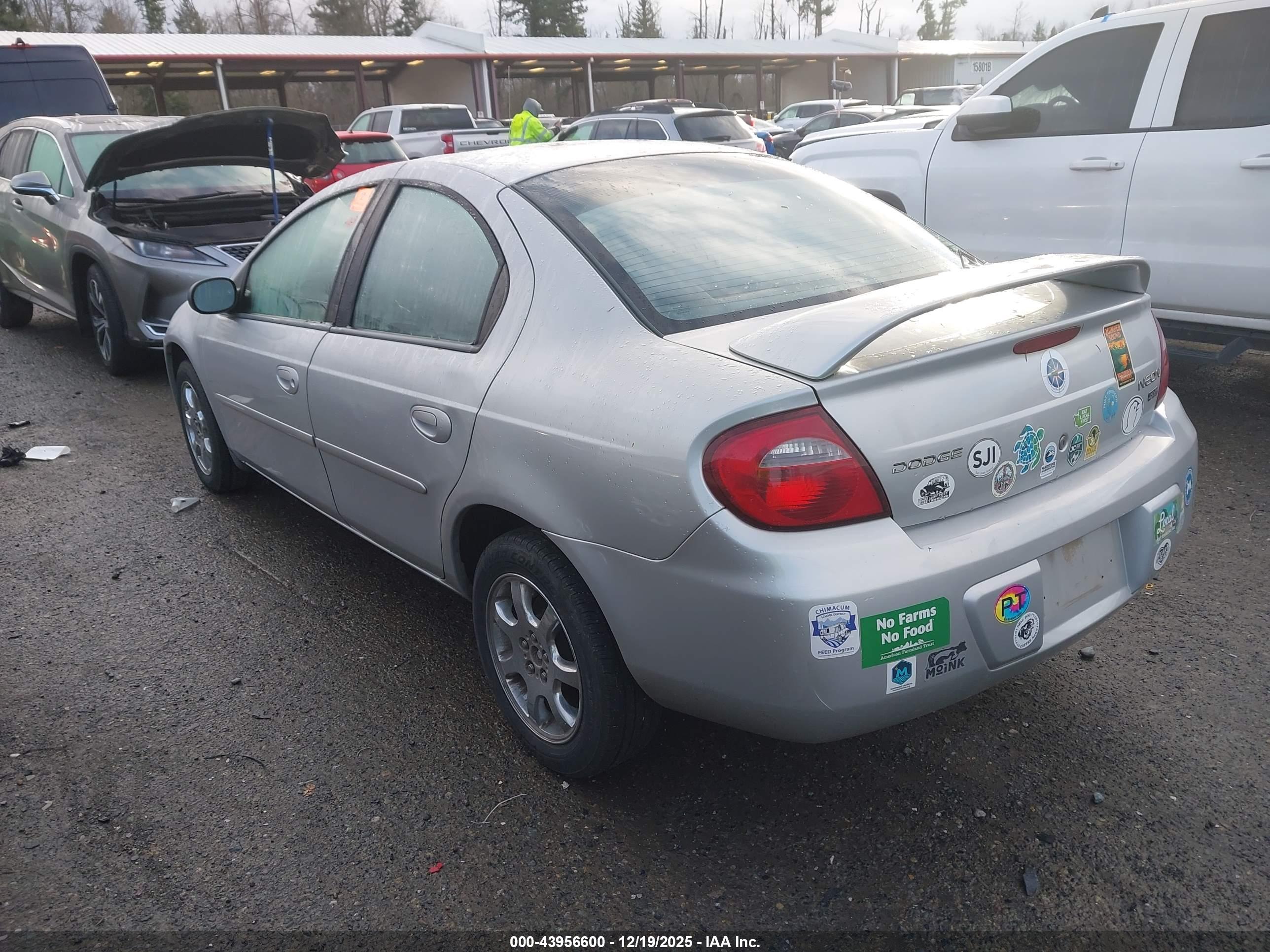 DODGE NEON image 3