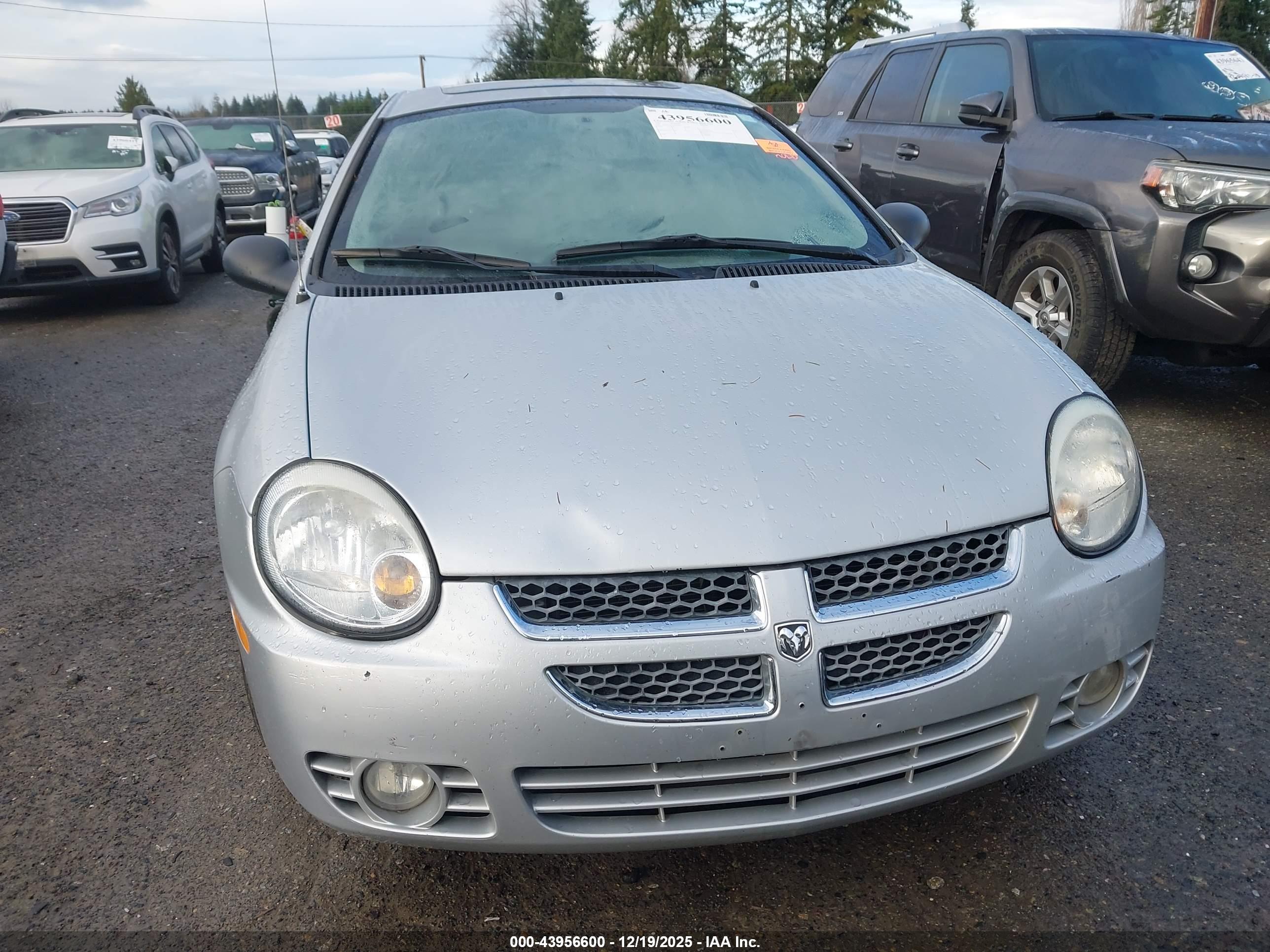 DODGE NEON image 6