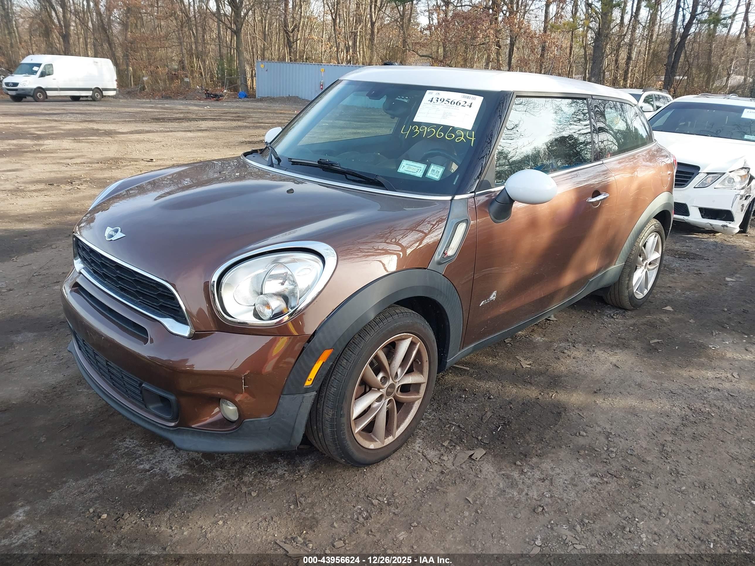 MINI PACEMAN image 2