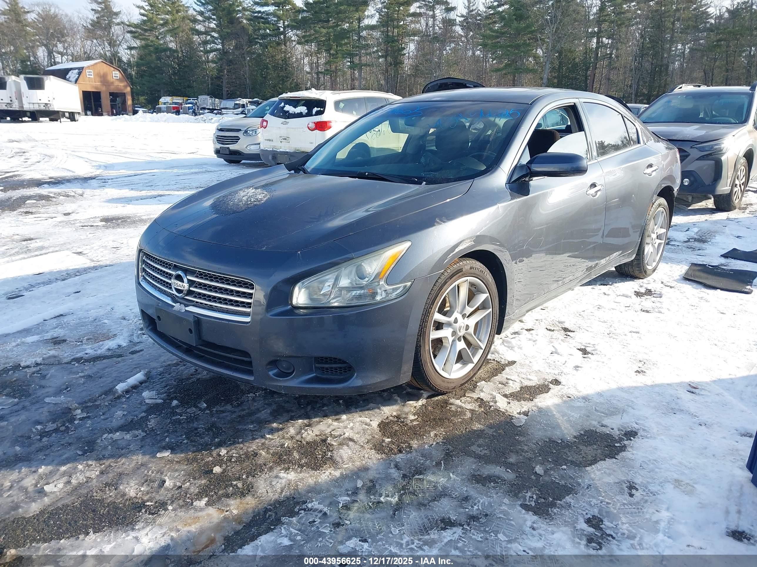 NISSAN MAXIMA image 2