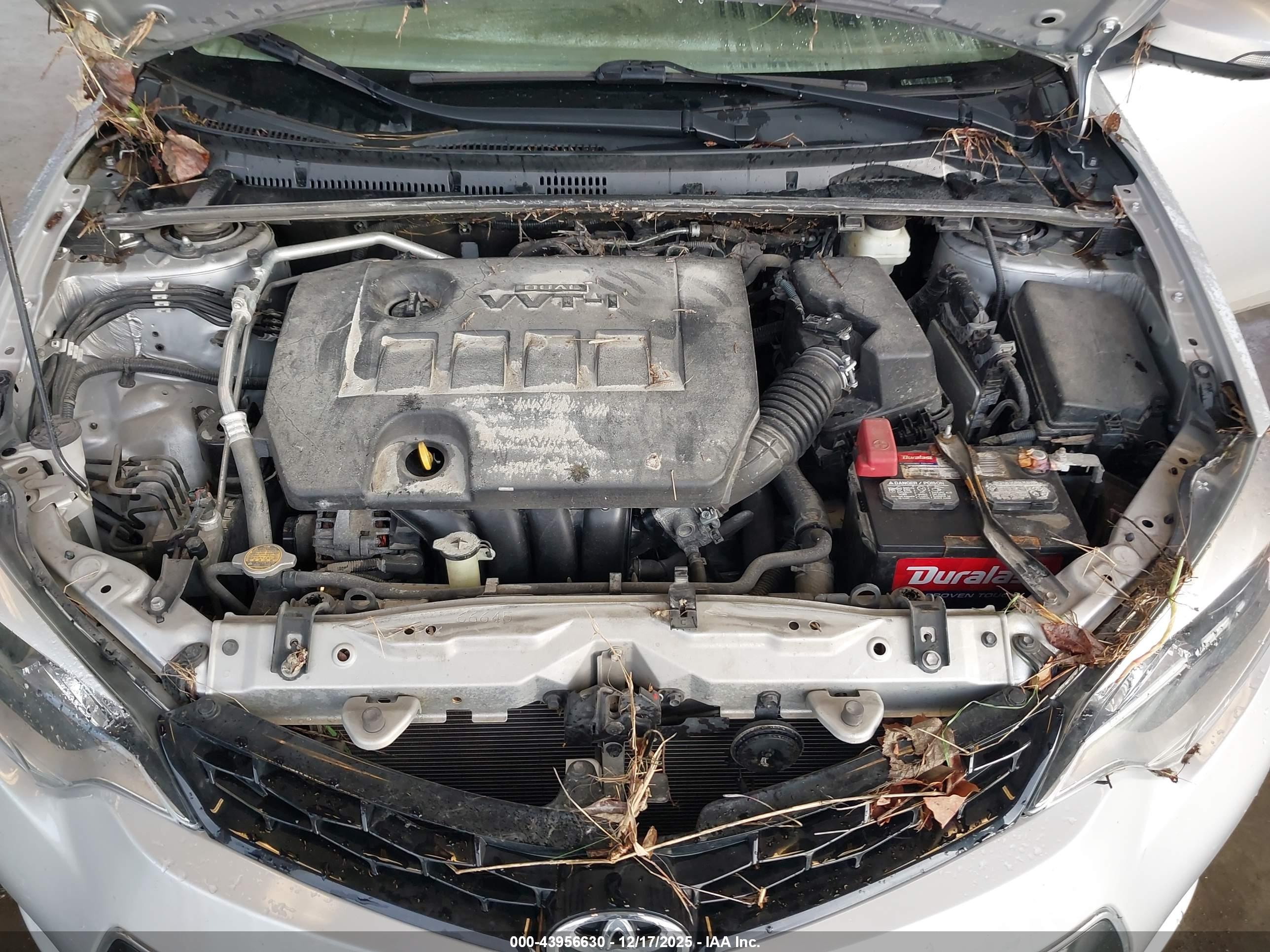 TOYOTA COROLLA image 10