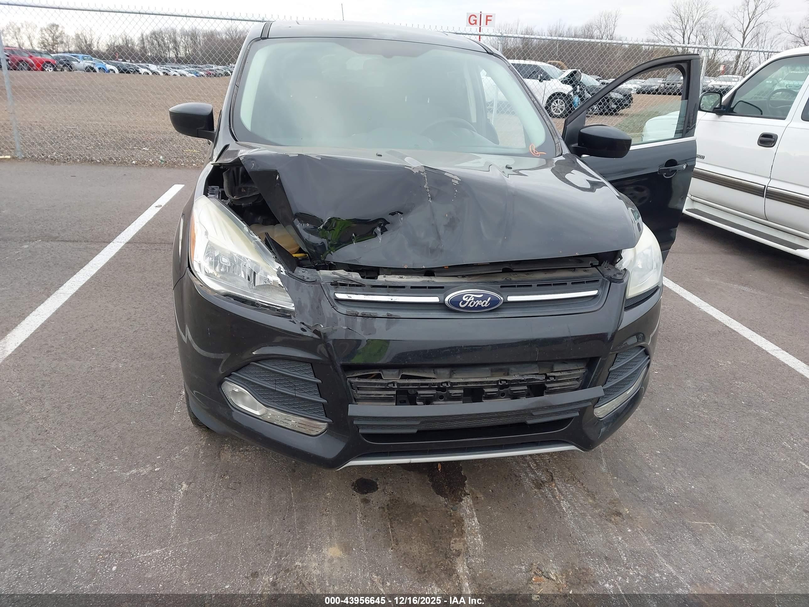 FORD ESCAPE image 6