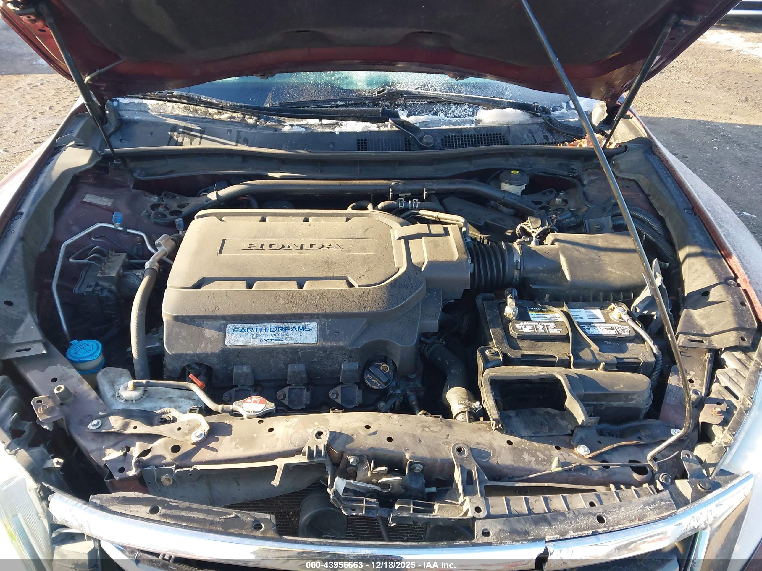 HONDA CROSSTOUR image 10